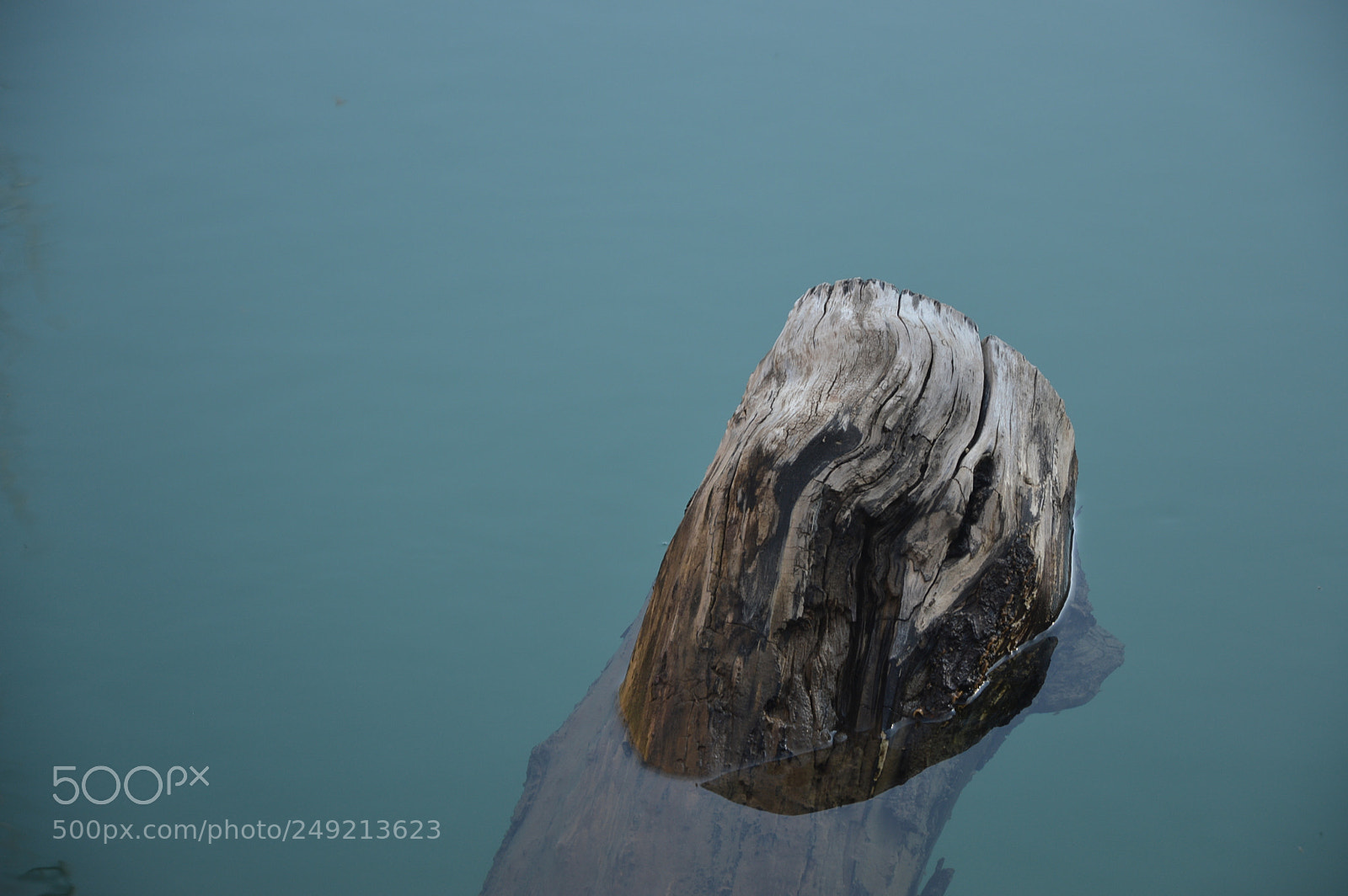 Nikon D3200 sample photo. Green eye area photography