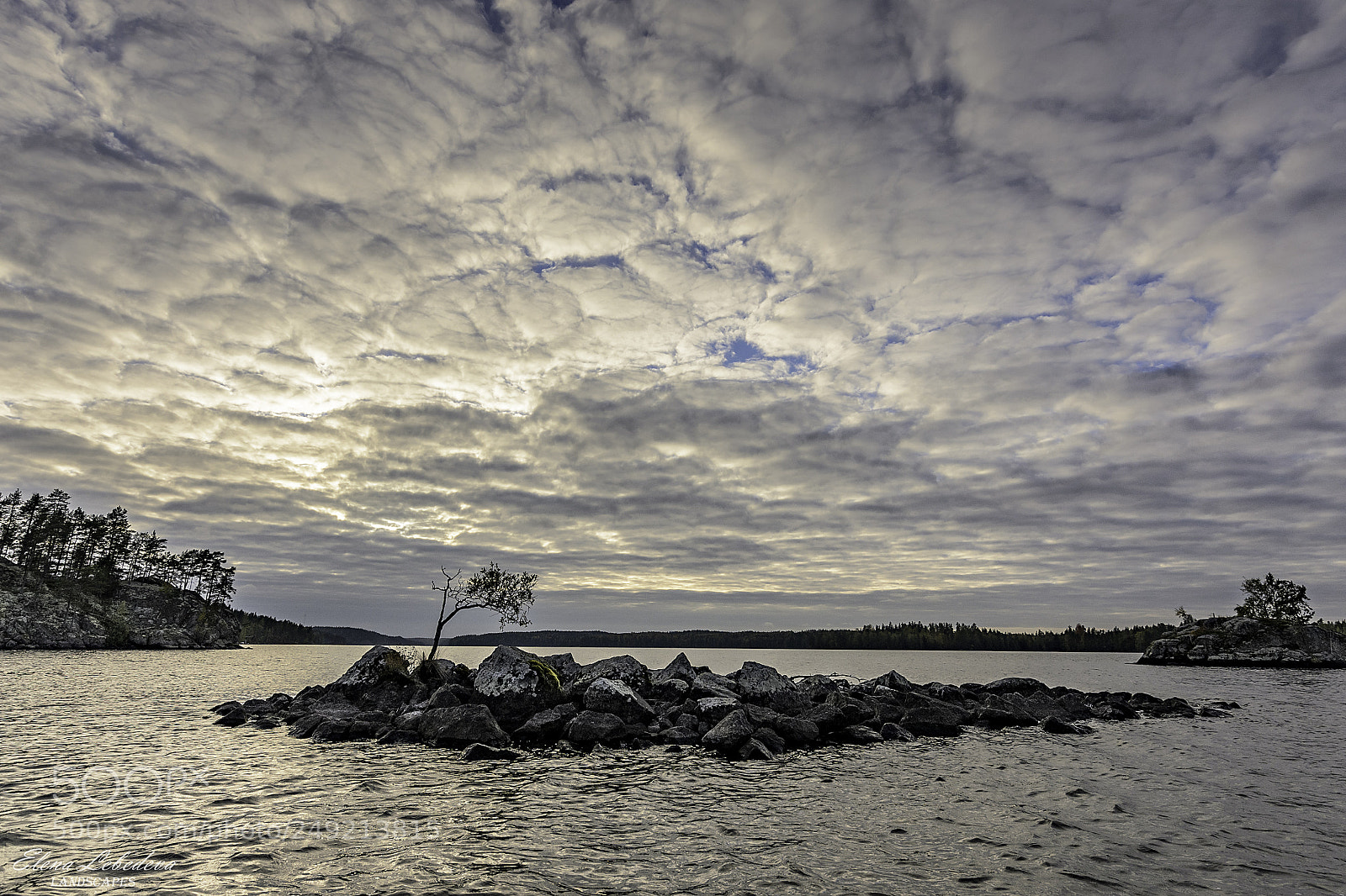 Nikon D7000 sample photo. Under the autumn sky photography