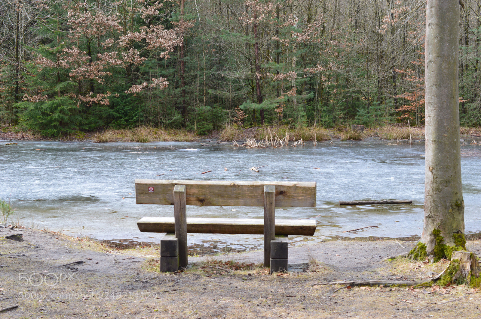 Nikon D3200 sample photo. Have a relaxing evening photography