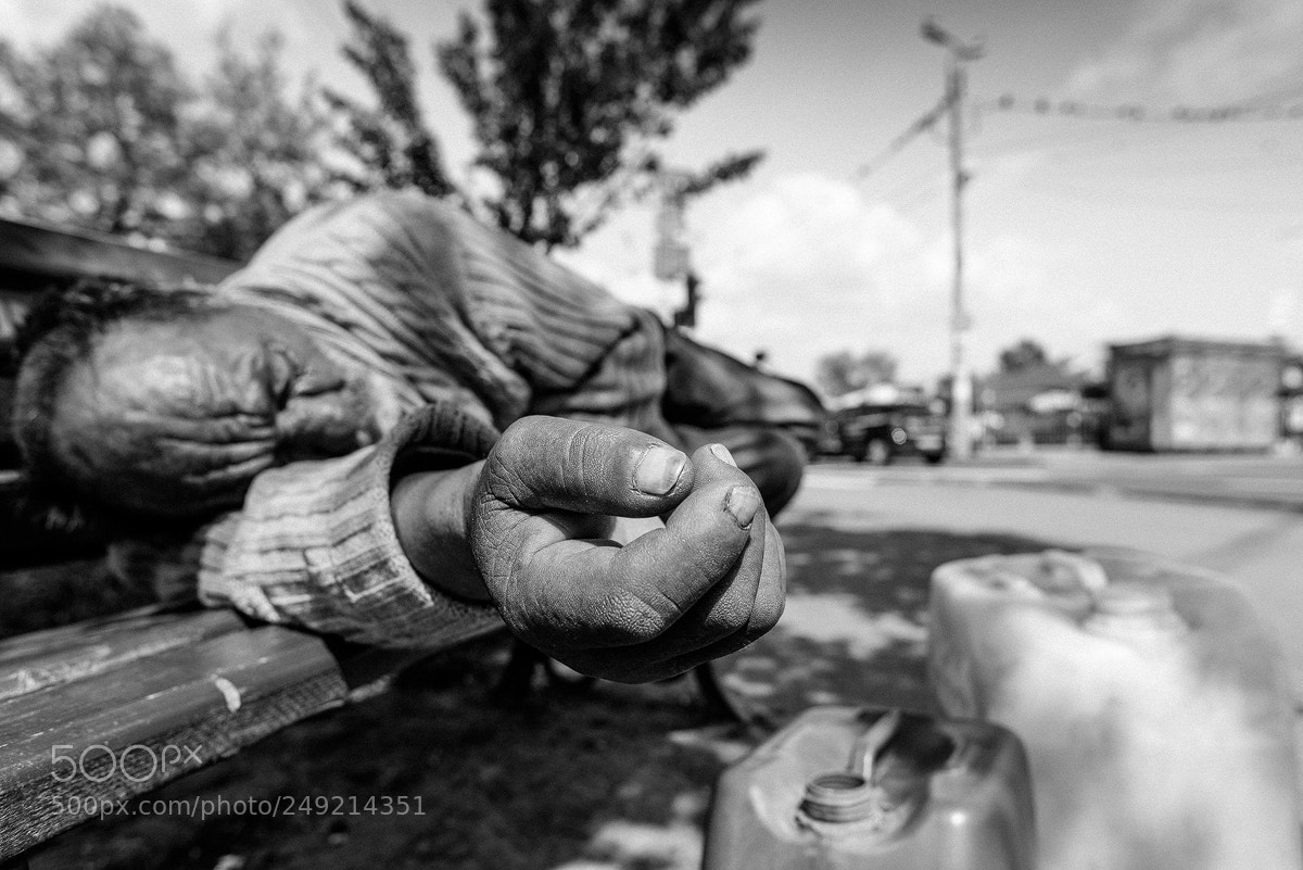Nikon D610 sample photo. Untitled photography