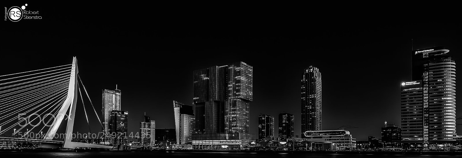 Nikon D7100 sample photo. Rotterdam skyline b&w photography