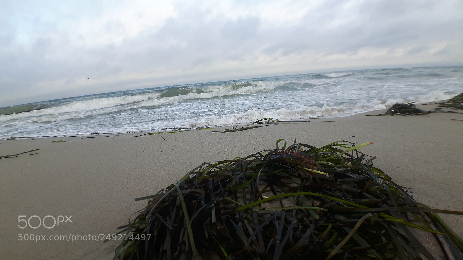 Samsung Galaxy S5 Neo sample photo. 20171224_120624.jpg photography