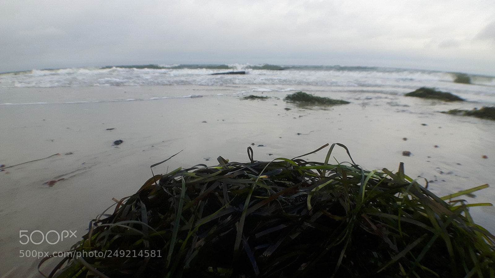 Samsung Galaxy S5 Neo sample photo. 20171224_121123.jpg photography