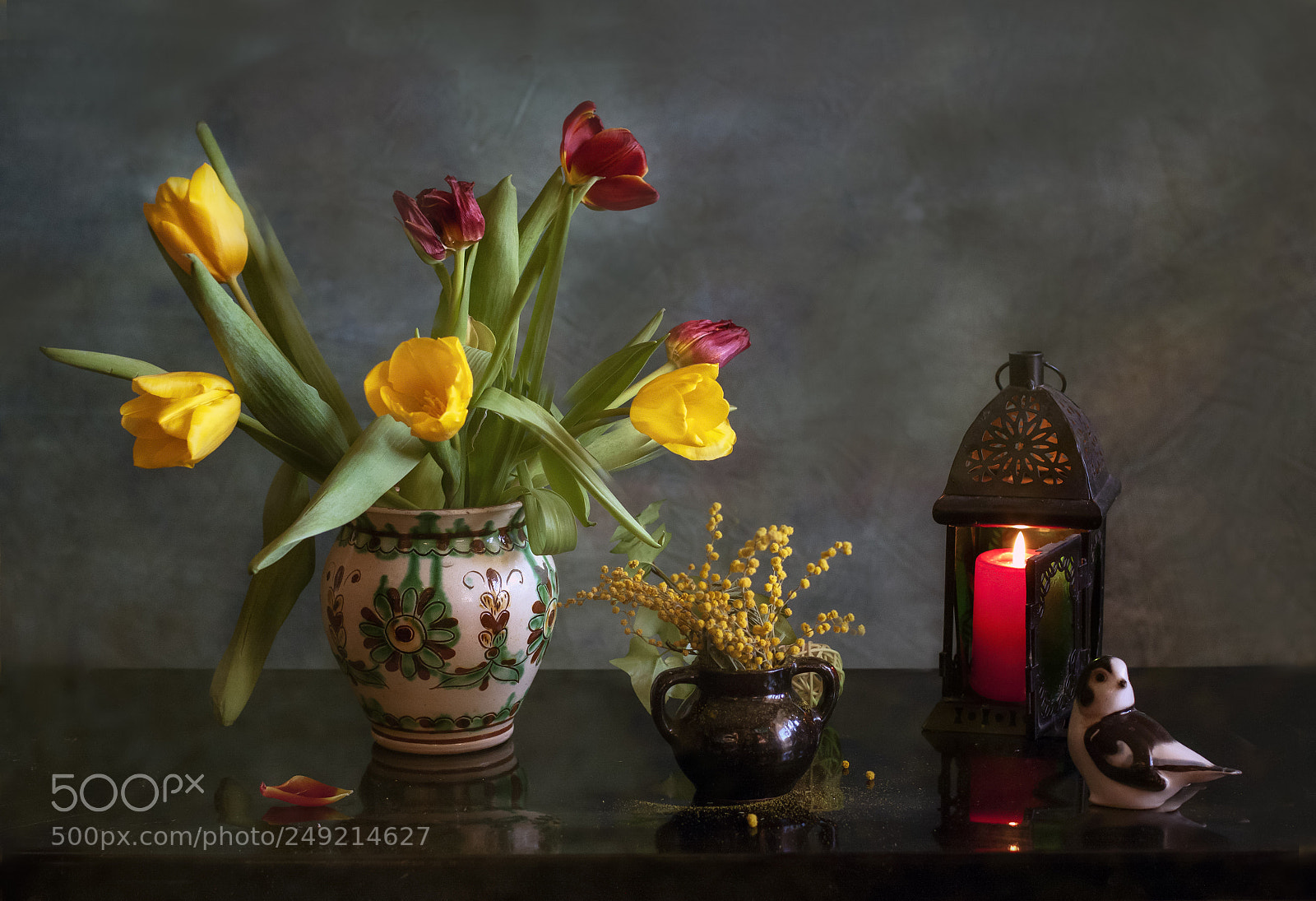 Canon EOS 50D sample photo. С тюльпанами photography