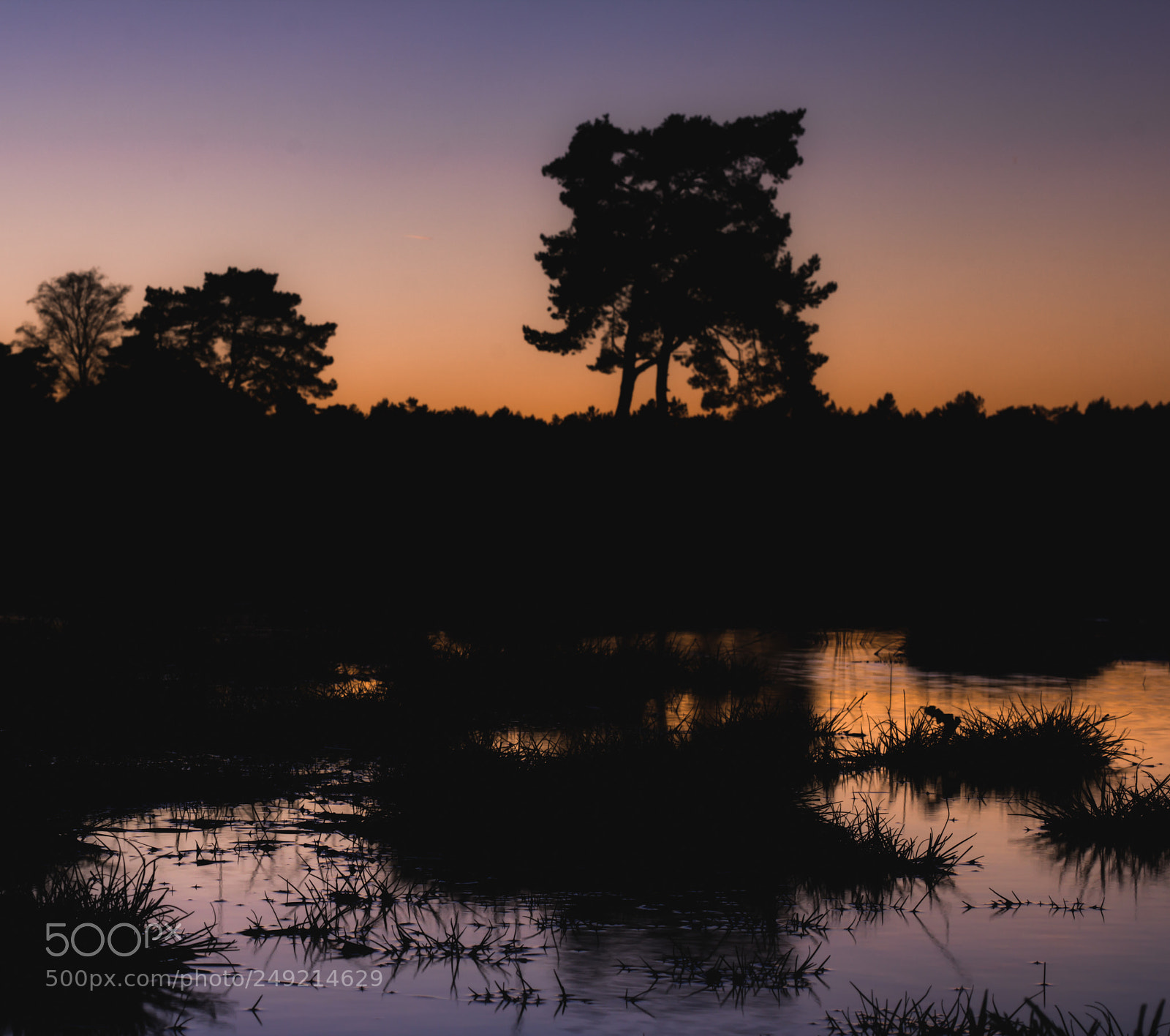 Canon EOS 60D sample photo. Purple sunset photography