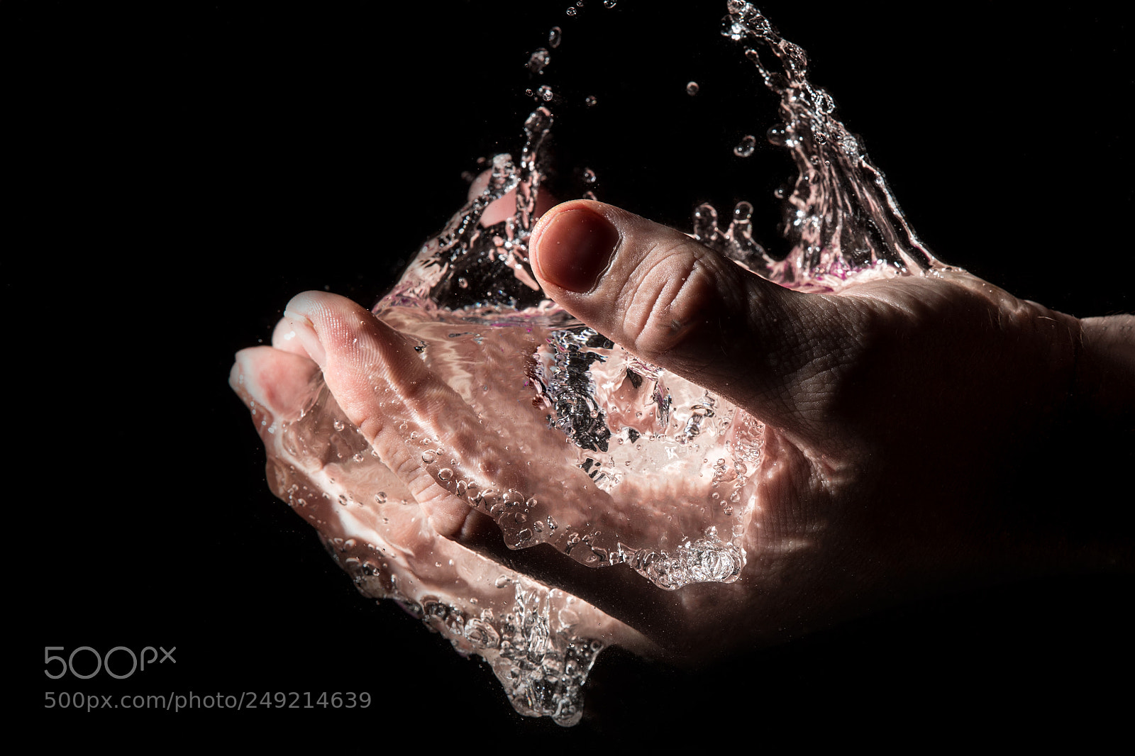Canon EOS-1D X Mark II sample photo. Life in my hands photography
