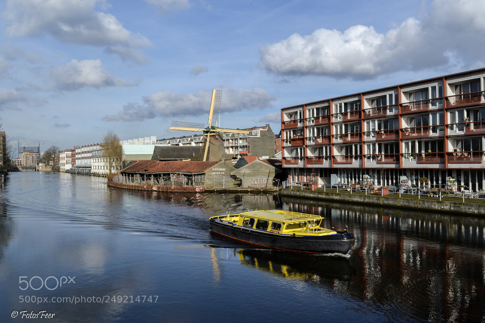 Nikon D3100 sample photo. De otter 1631 photography