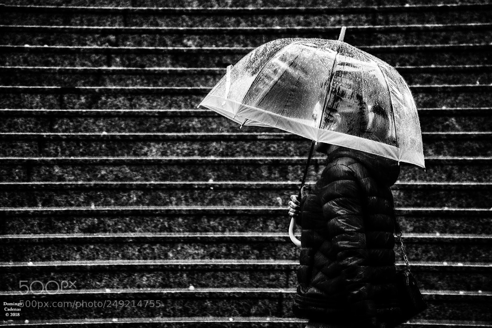 Olympus OM-D E-M10 II sample photo. Llueve photography
