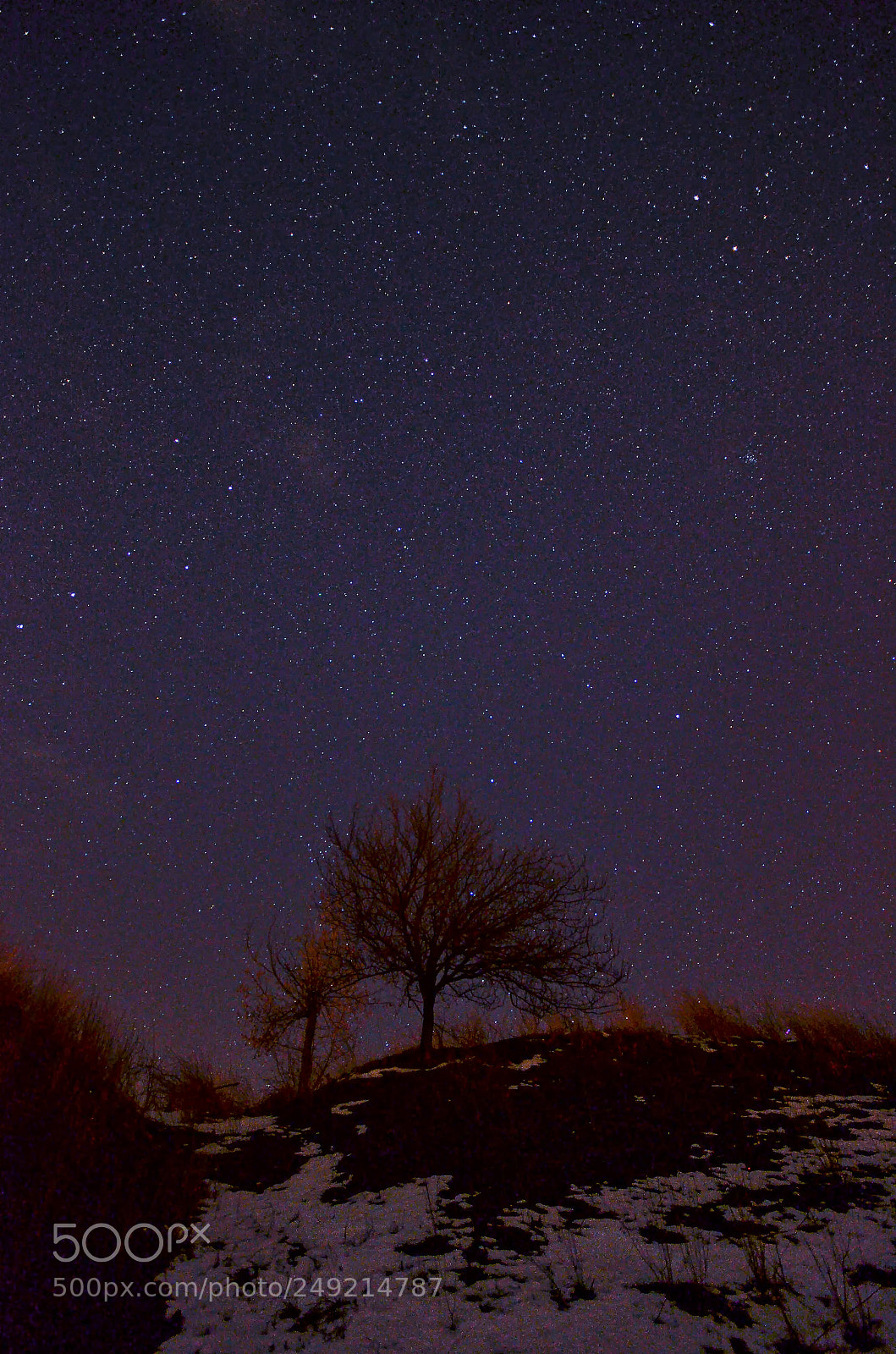 Nikon D7000 sample photo. Stars photography