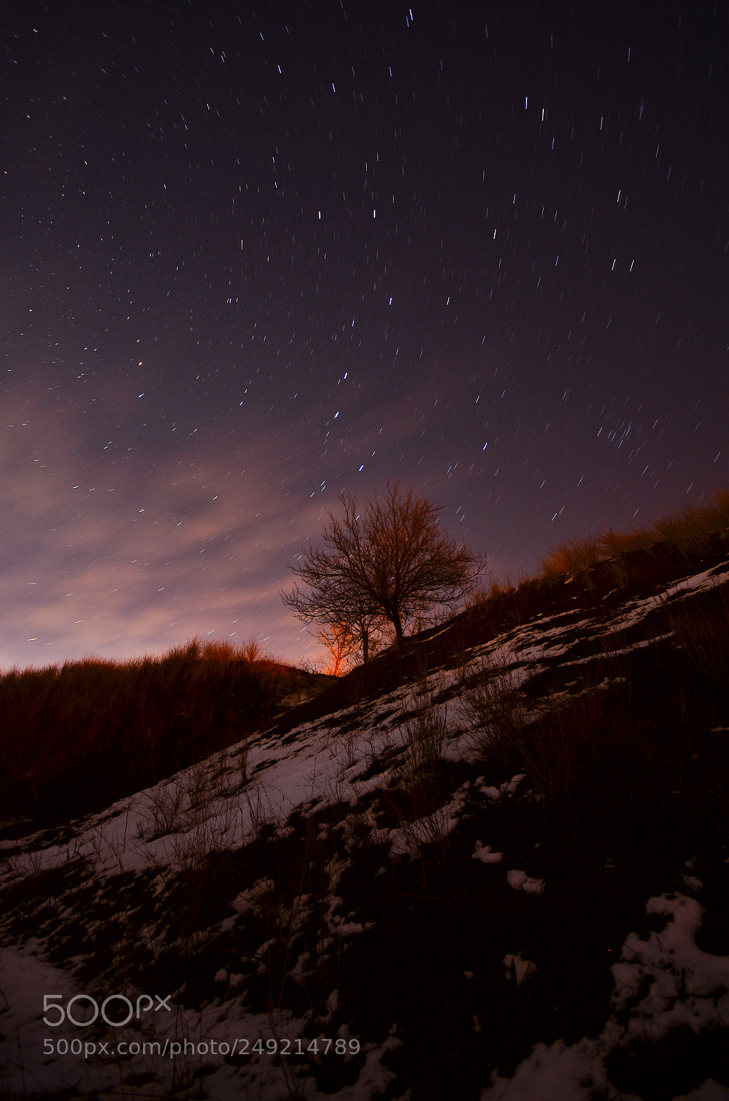 Nikon D7000 sample photo. Stars photography