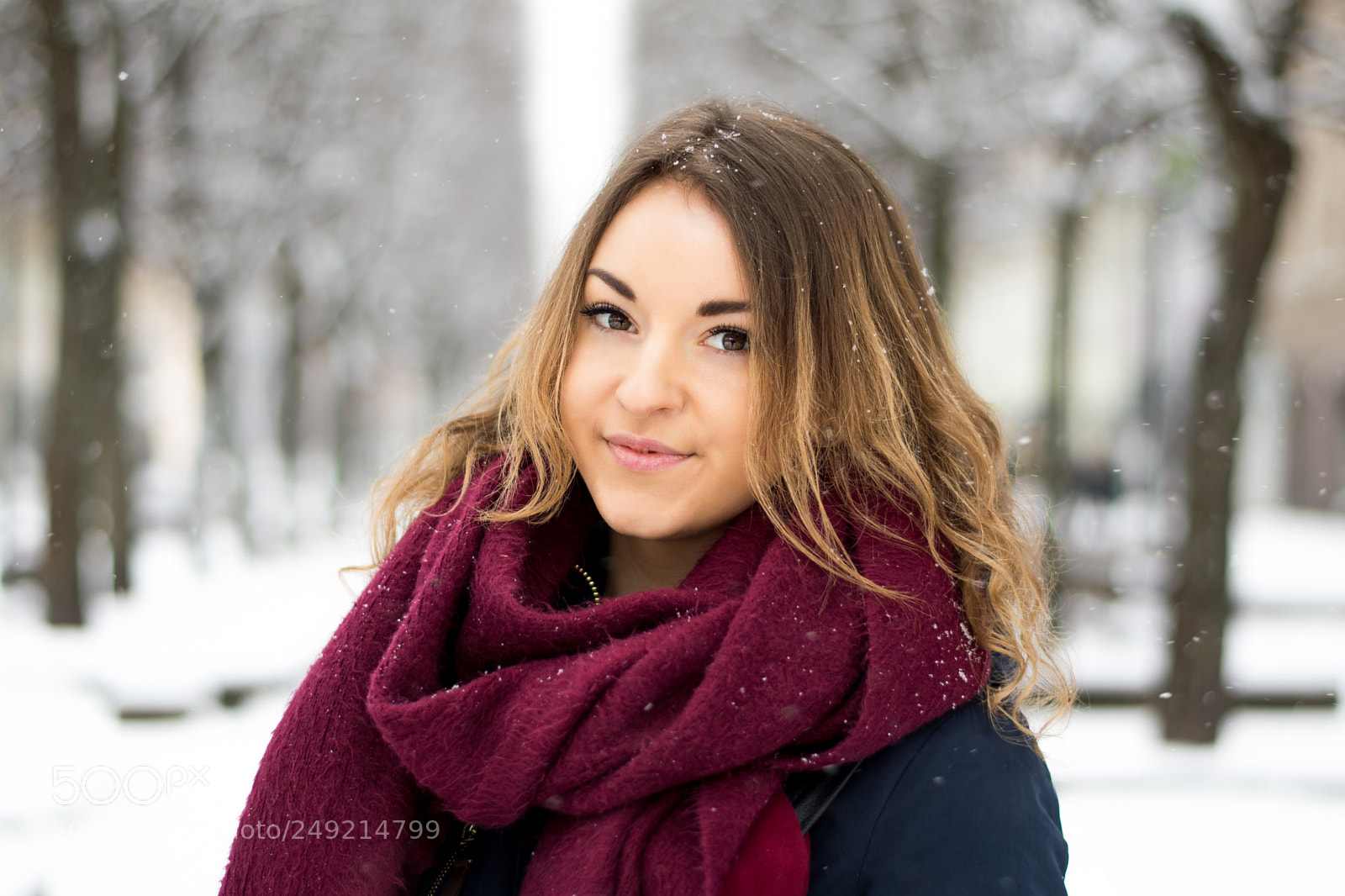 Nikon D3300 sample photo. Snowflakes photography