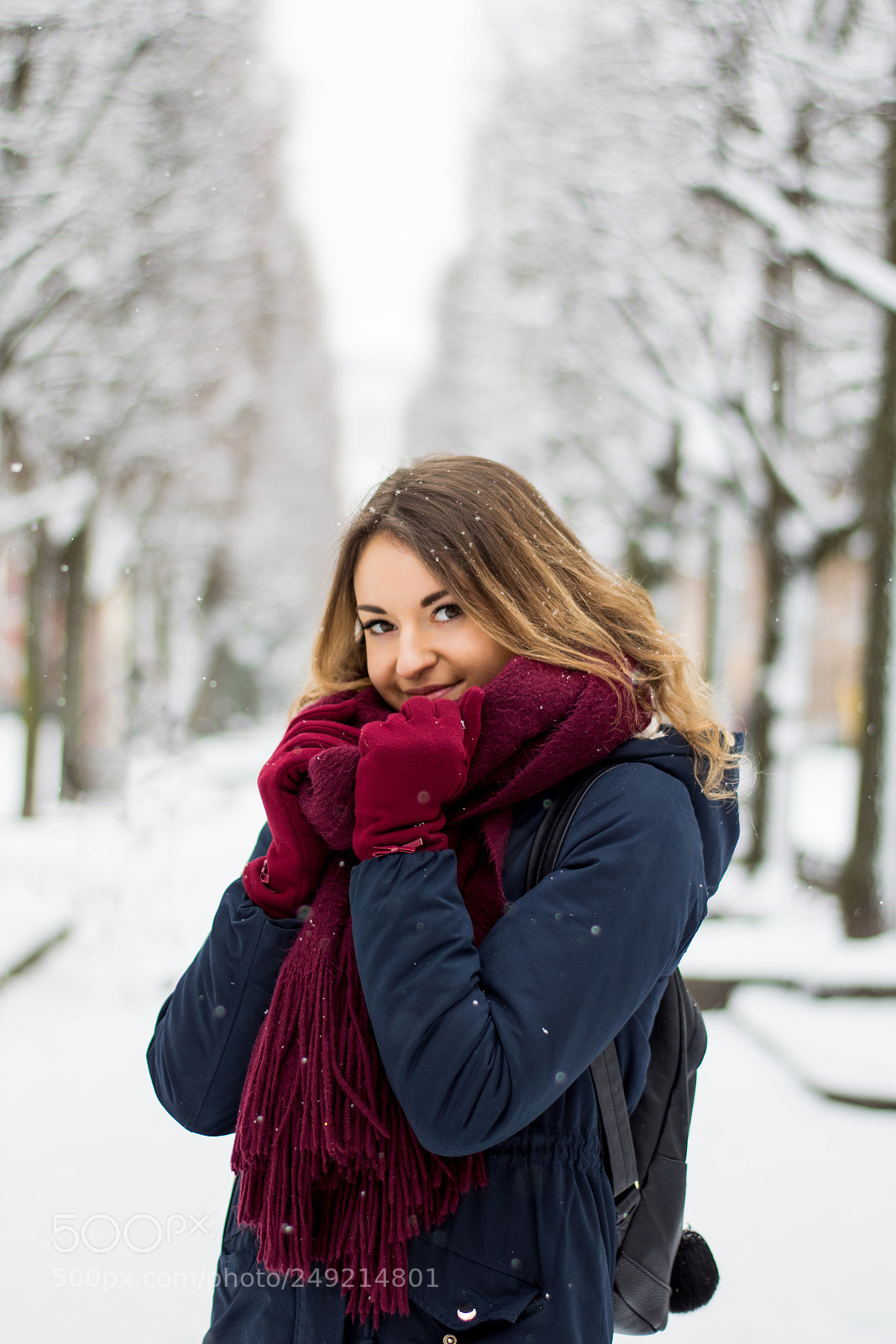 Nikon D3300 sample photo. Snowflakes photography