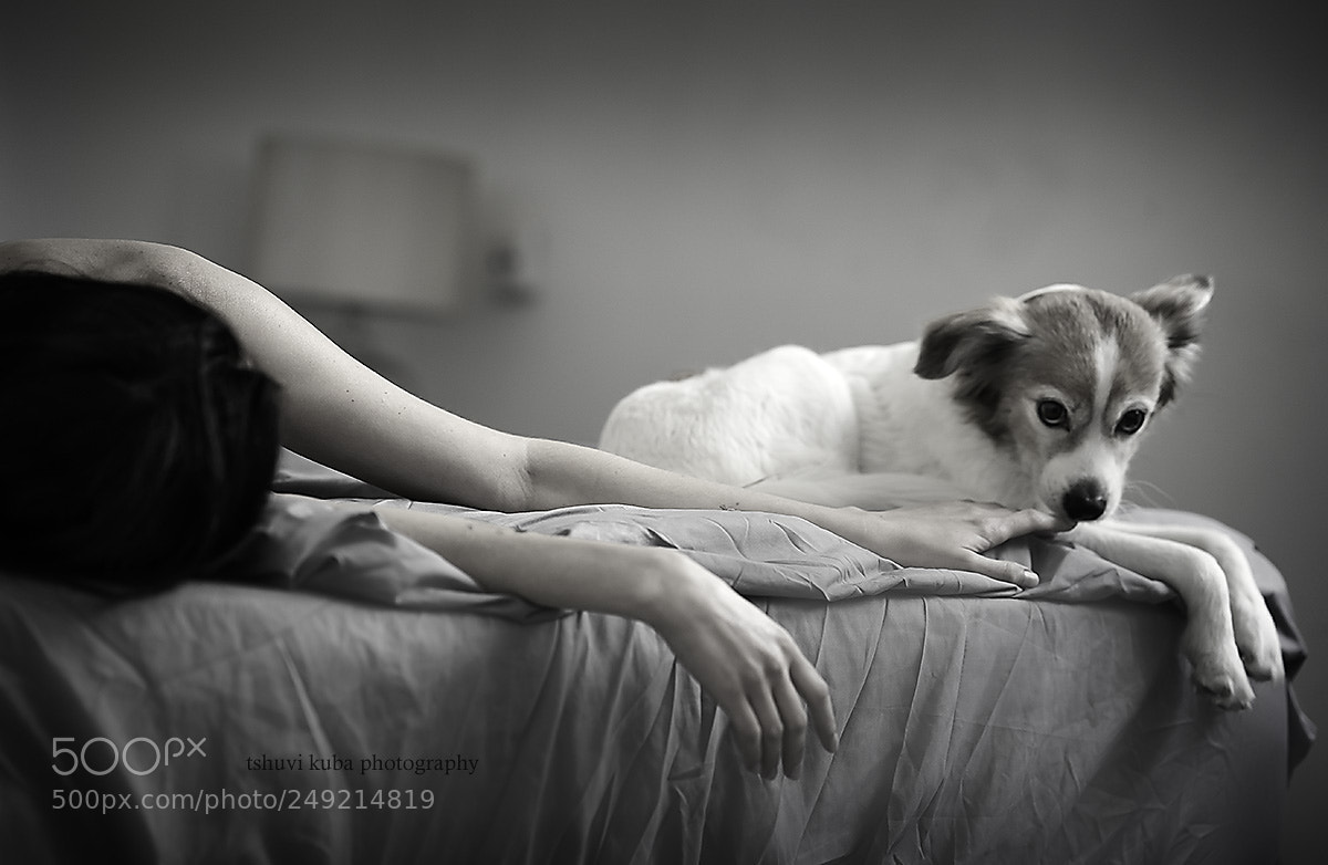 Sony a7 II sample photo. Dogs life.. photography