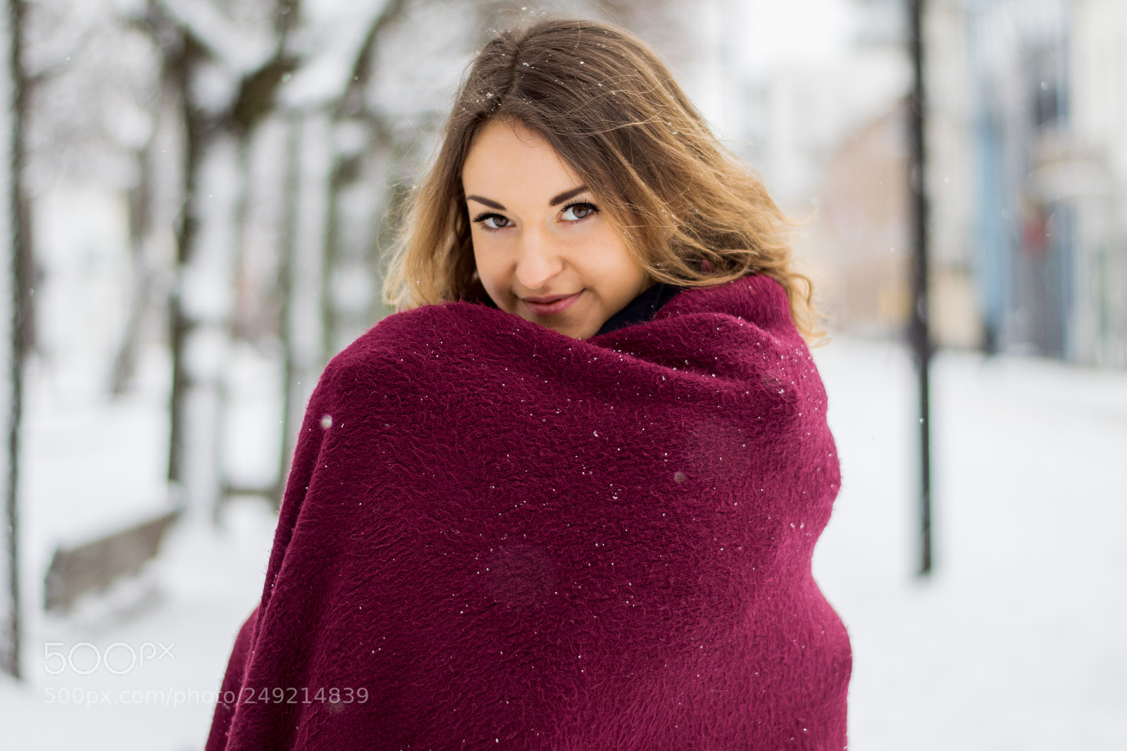 Nikon D3300 sample photo. Snowflakes photography