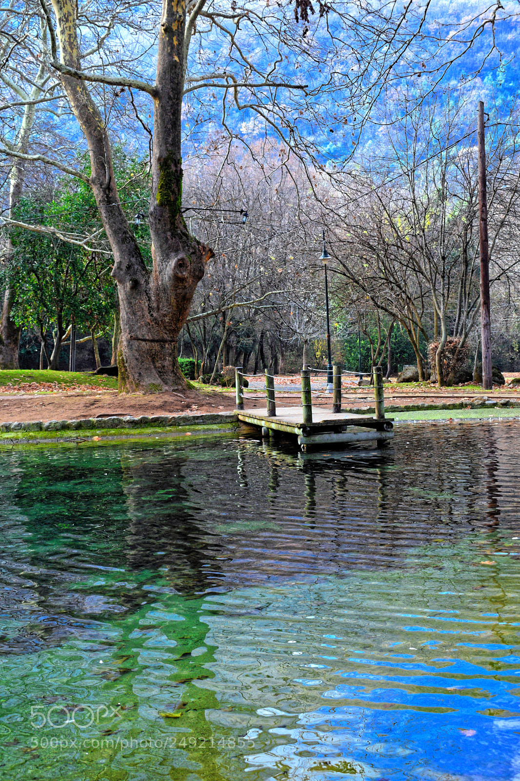 Nikon D3300 sample photo. Colored reflection photography