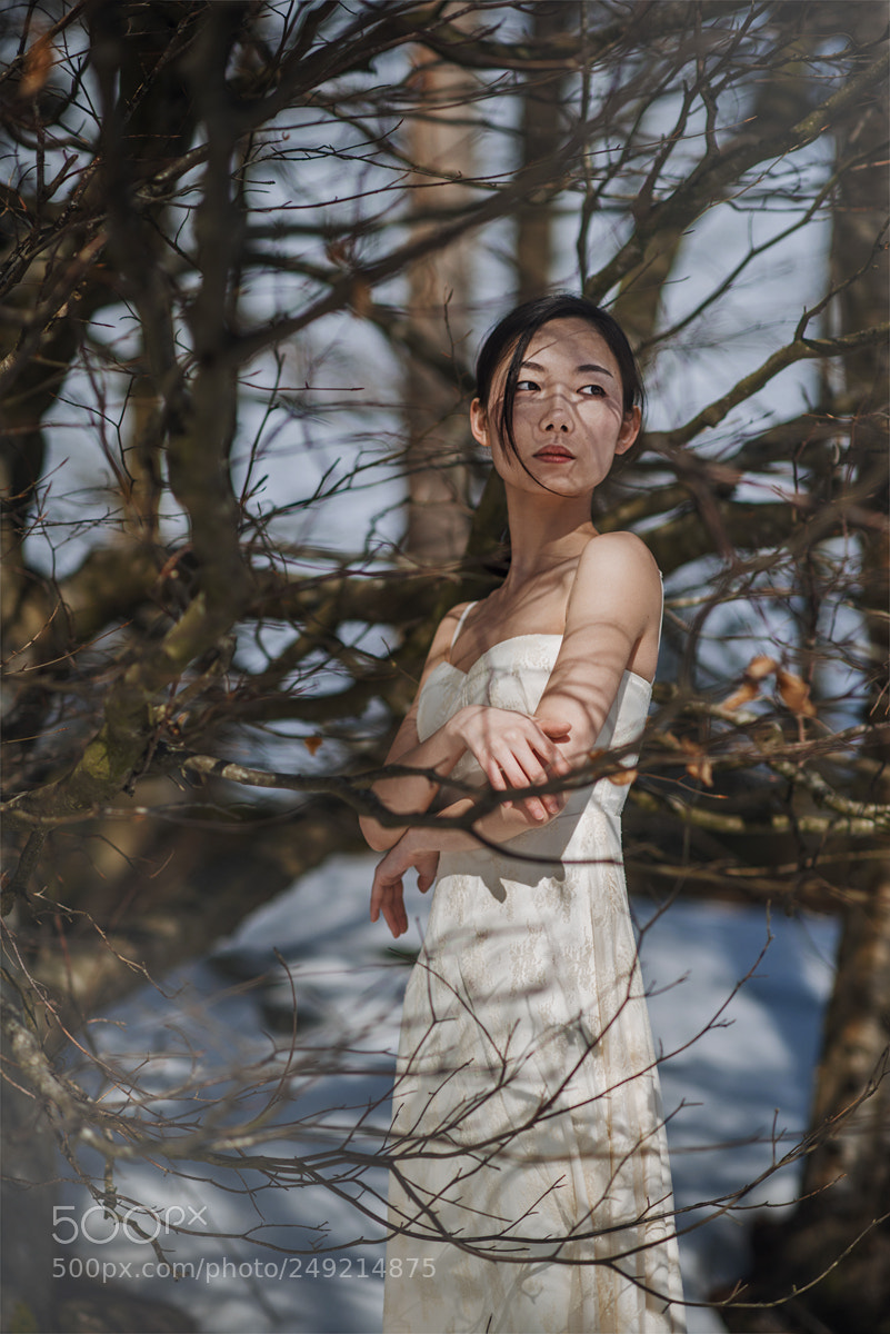 Nikon D800 sample photo. Light and shadow photography