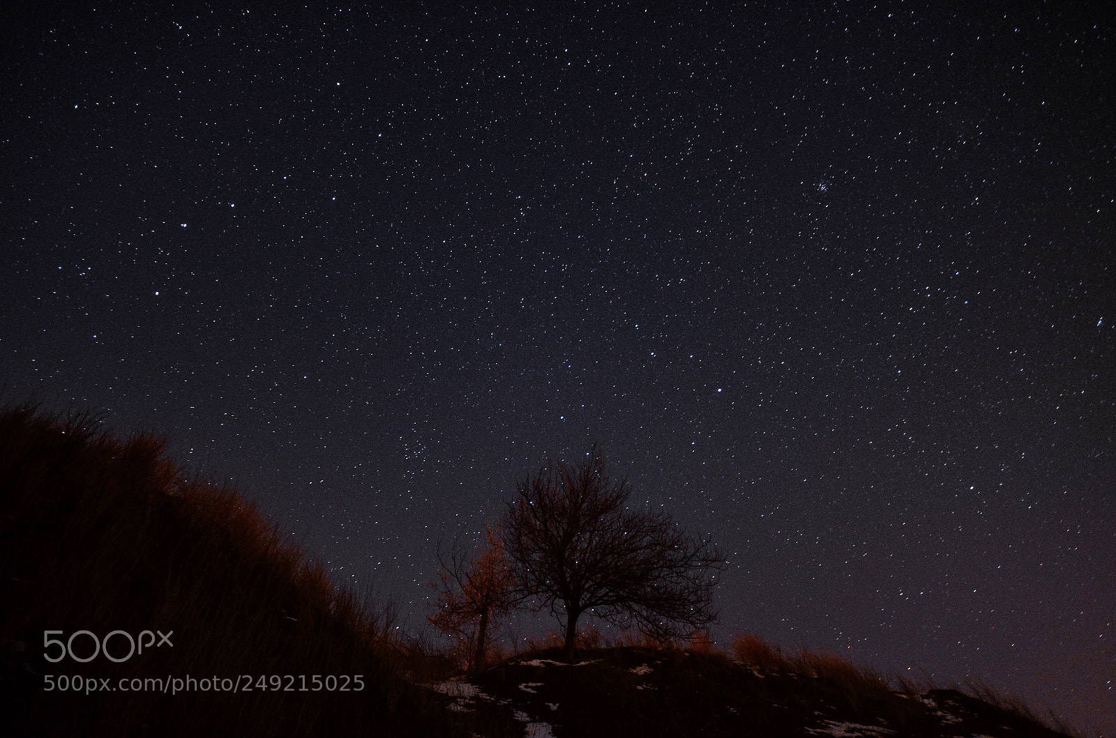 Nikon D7000 sample photo. Stars photography