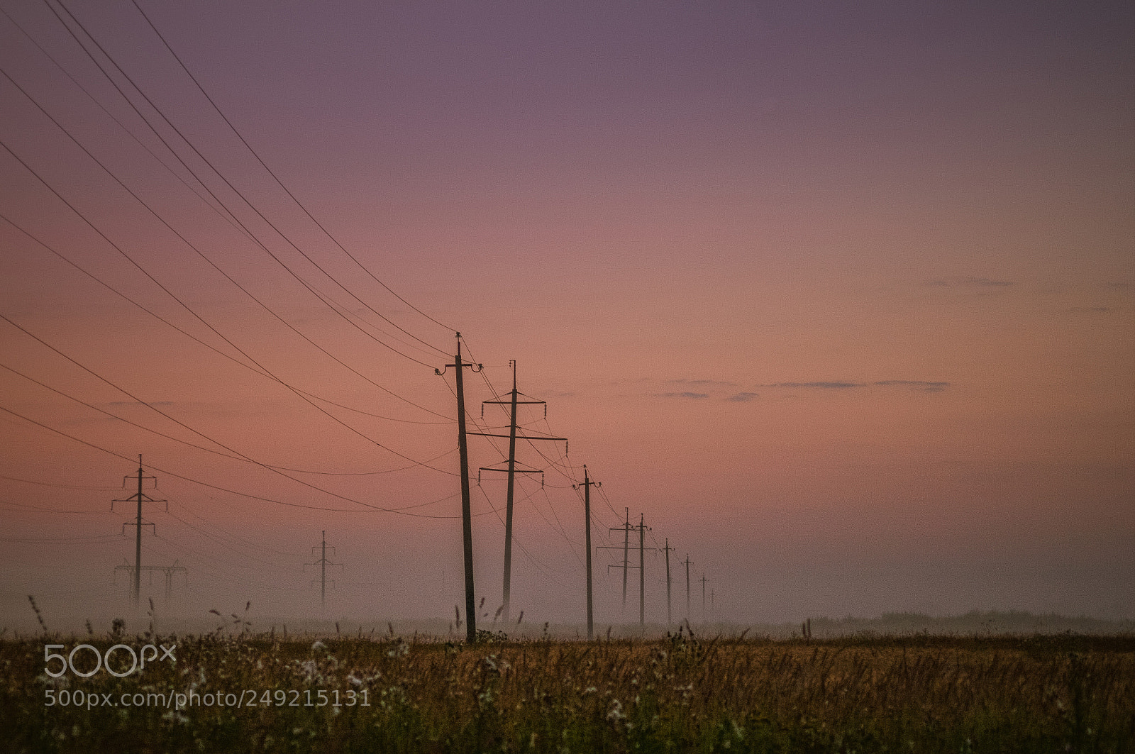 Pentax K-7 sample photo. Untitled photography