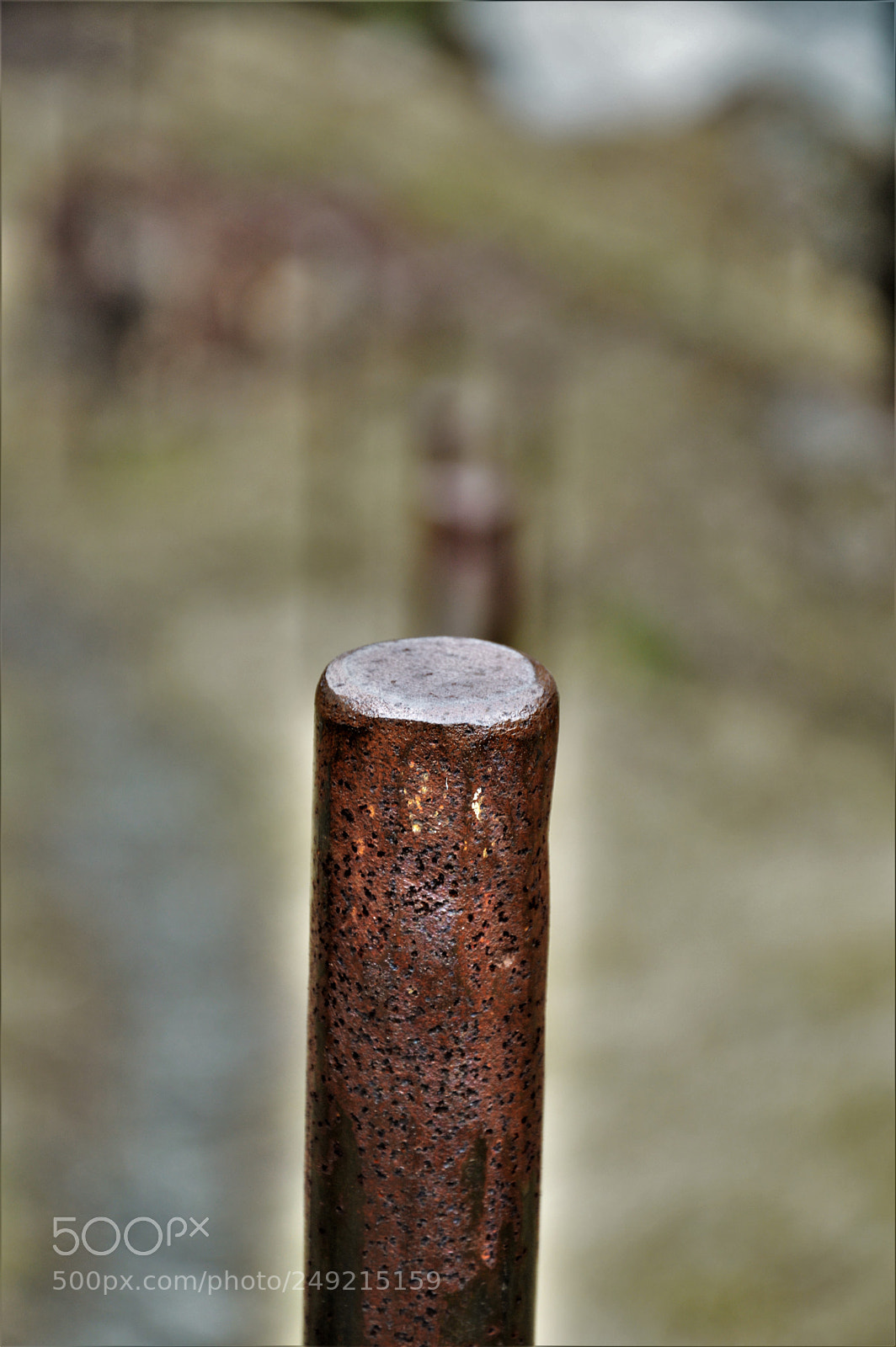 Nikon D3200 sample photo. Untitled photography