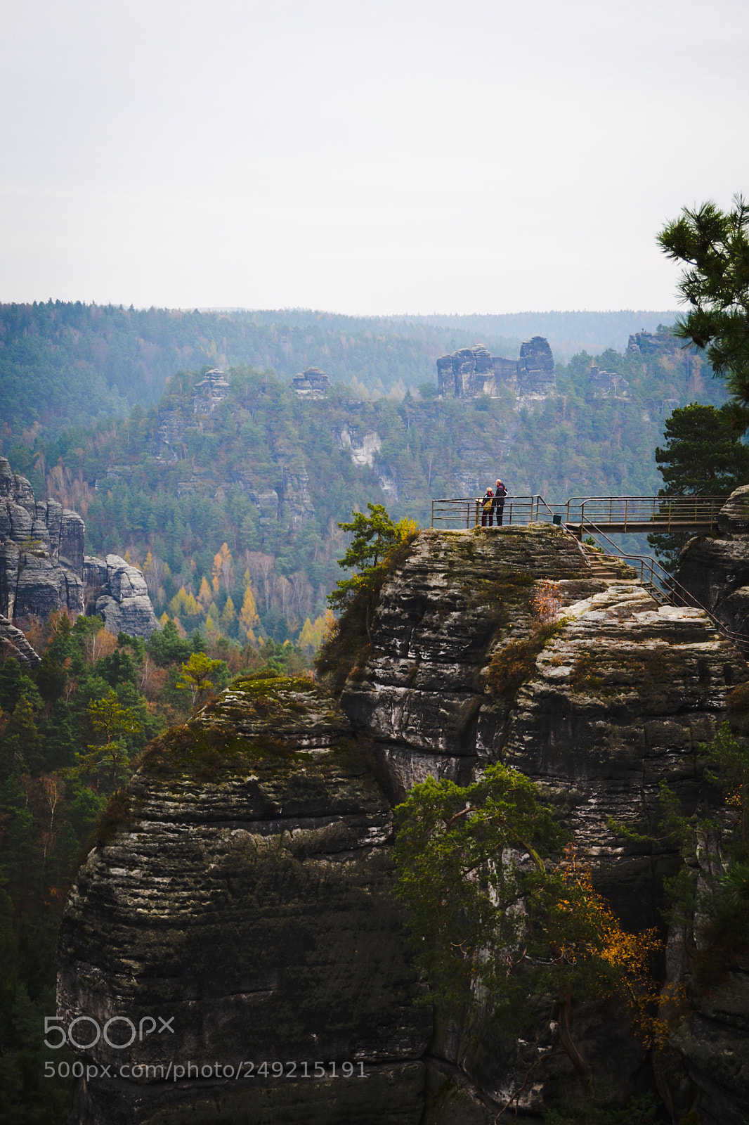 Nikon D3100 sample photo. Saxony photography