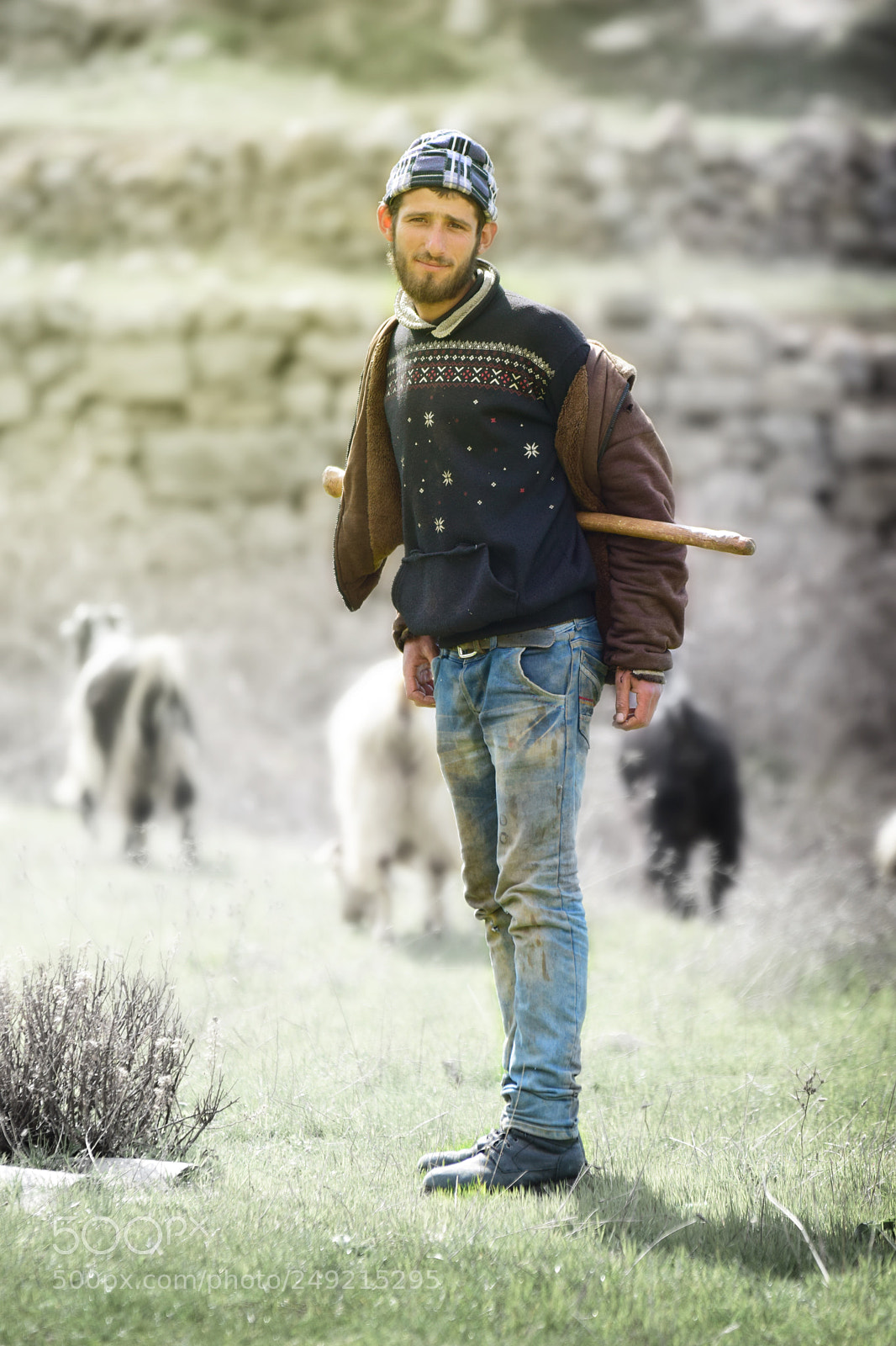 Nikon D5300 sample photo. Winter shepherd photography