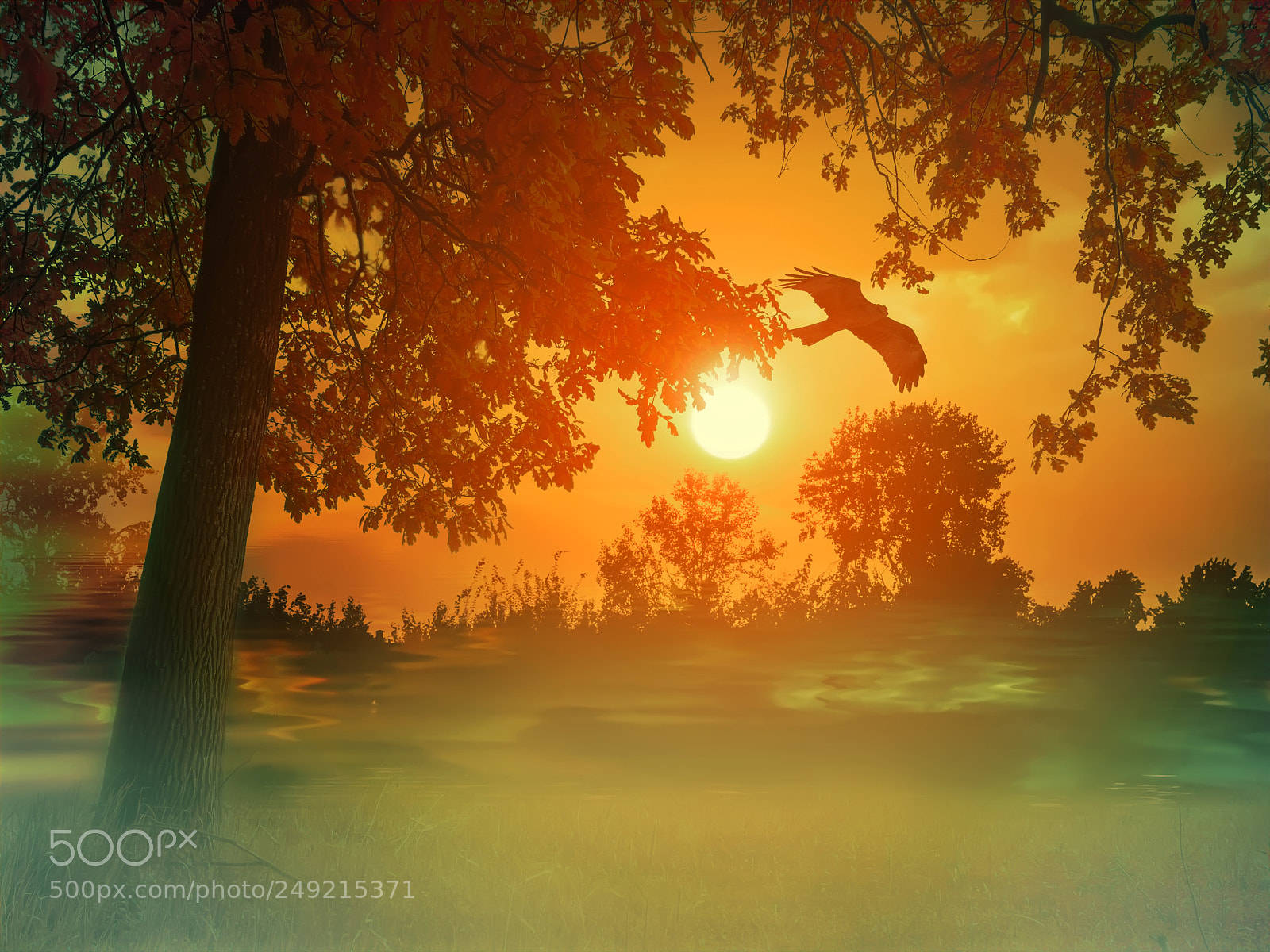 Canon EOS 600D (Rebel EOS T3i / EOS Kiss X5) sample photo. Mystic morning photography
