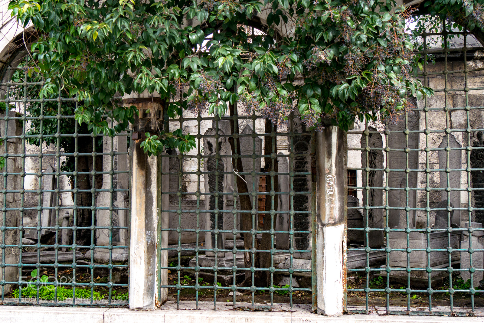 Panasonic Lumix DMC-G85 (Lumix DMC-G80) sample photo. Ottoman legacy photography