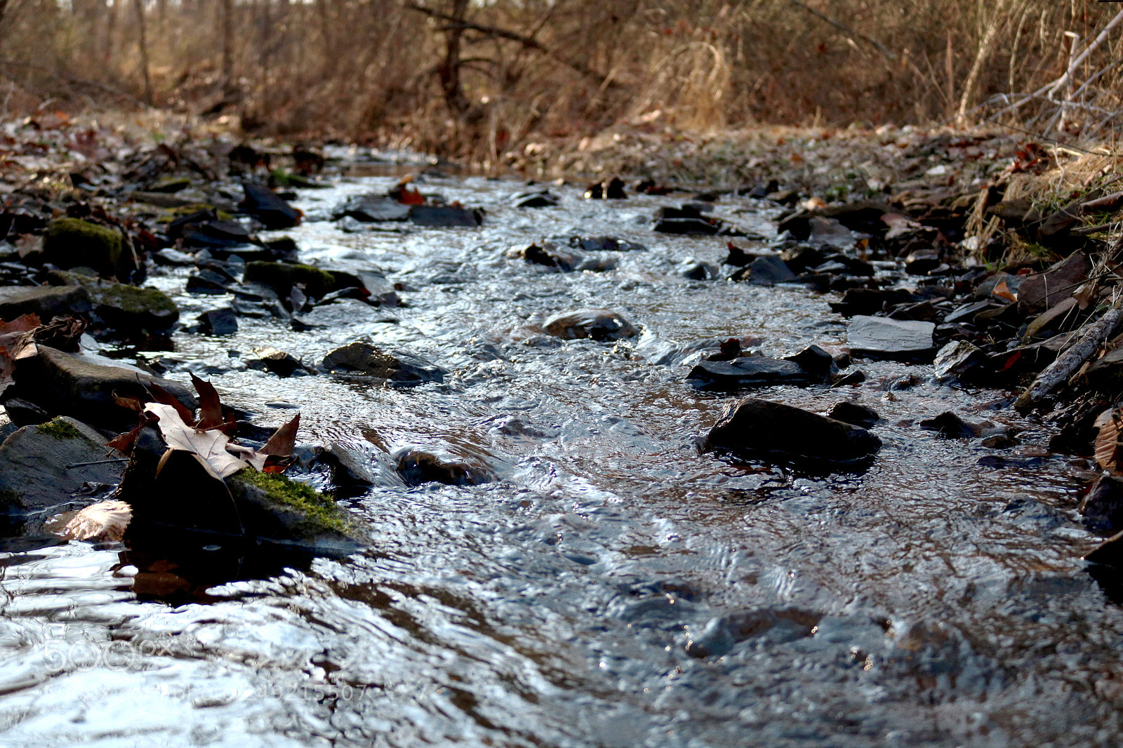 Canon EOS 750D (EOS Rebel T6i / EOS Kiss X8i) sample photo. Stream photography