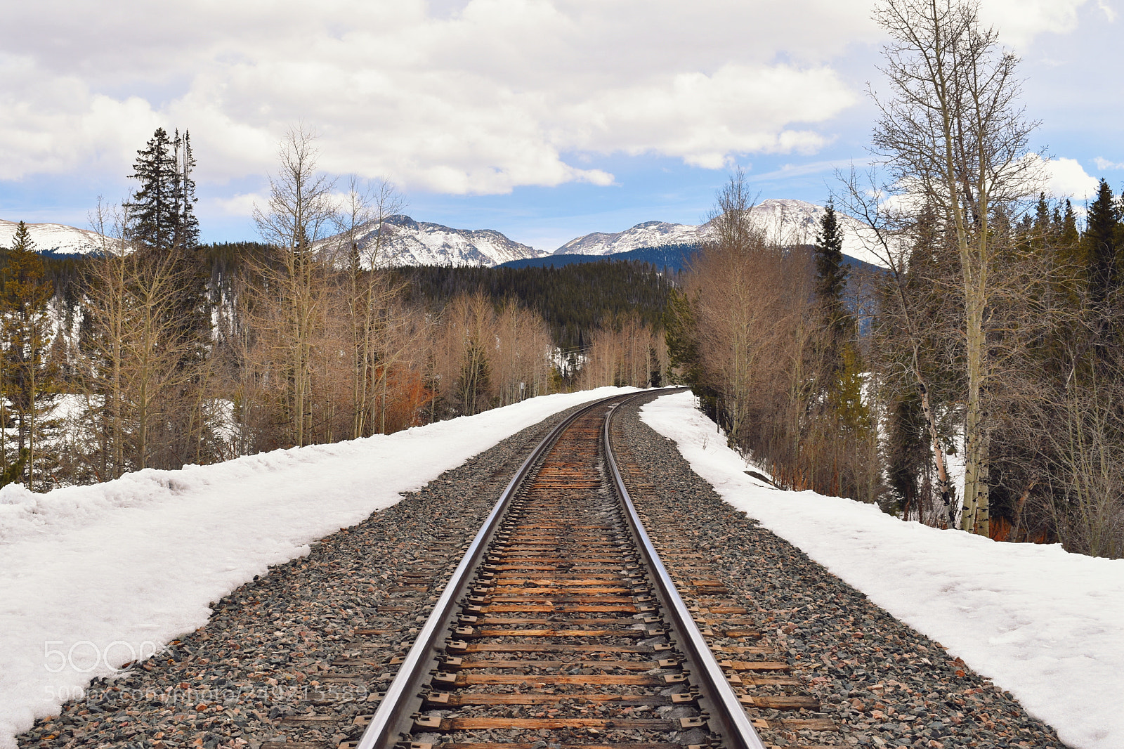 Nikon D5600 sample photo. Don't stand on the photography