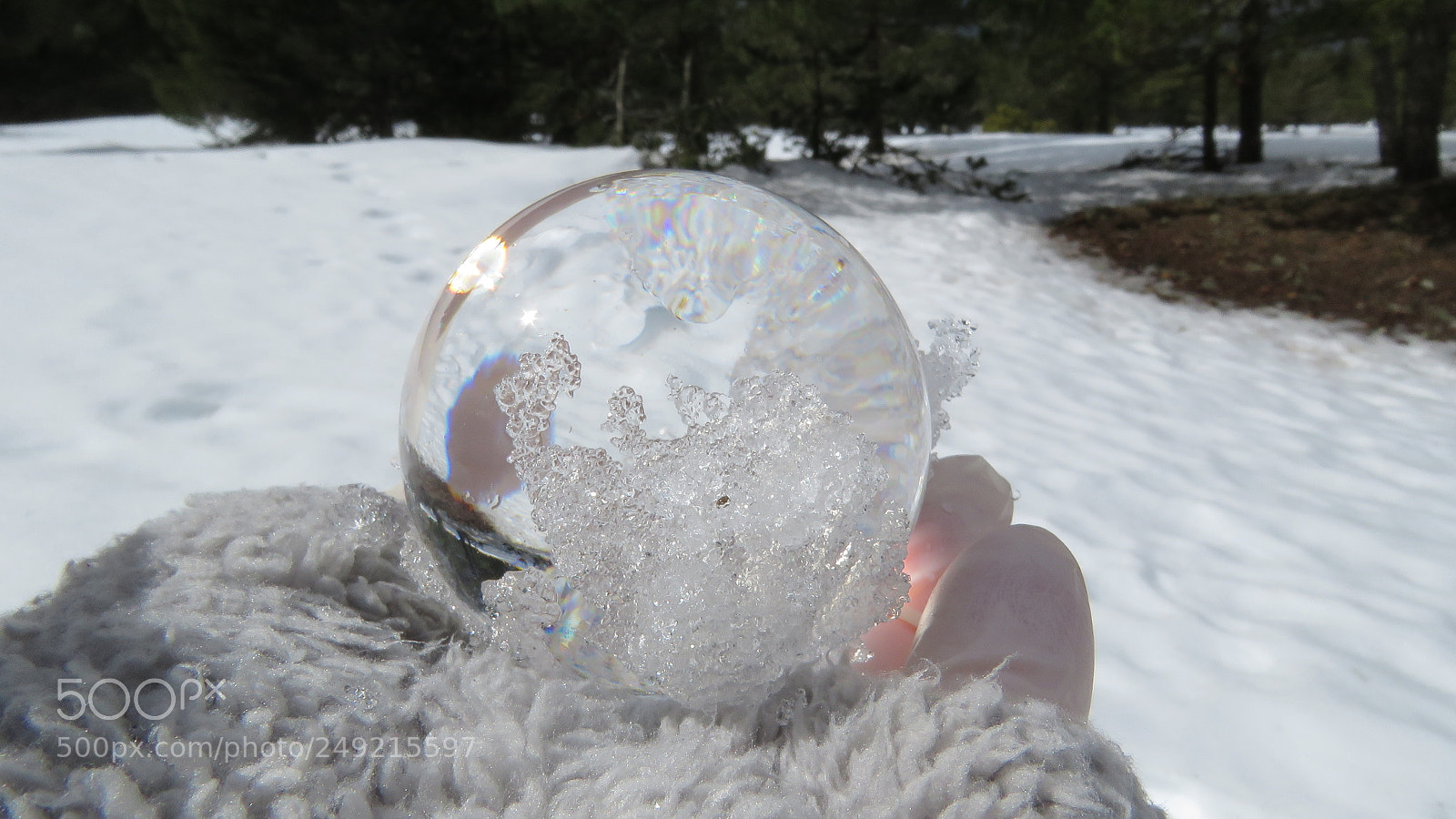 Canon PowerShot SX60 HS sample photo. Crystal ball in the photography