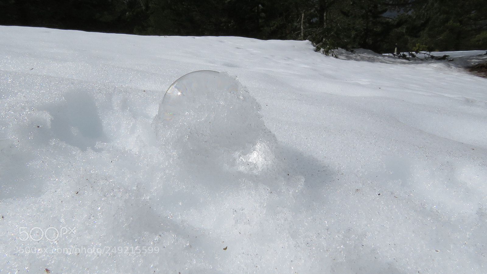 Canon PowerShot SX60 HS sample photo. Crystal ball in the photography