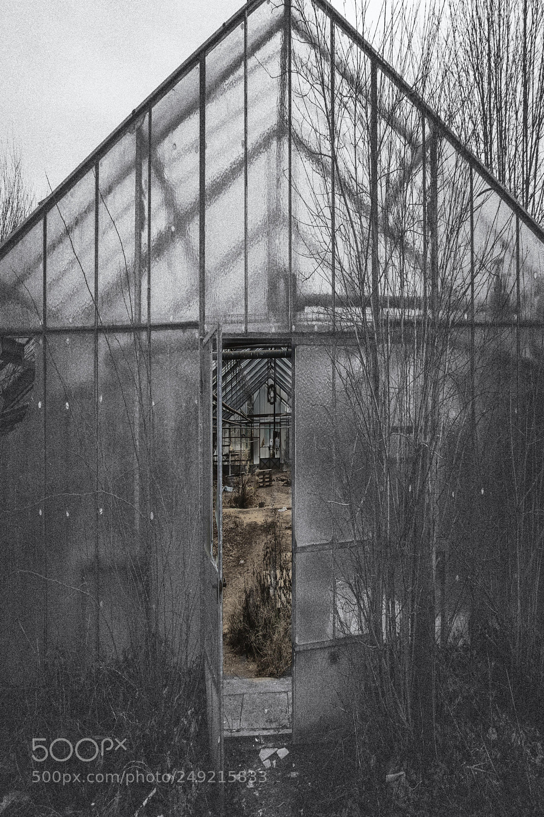 Nikon D7100 sample photo. Lost greenhouse photography