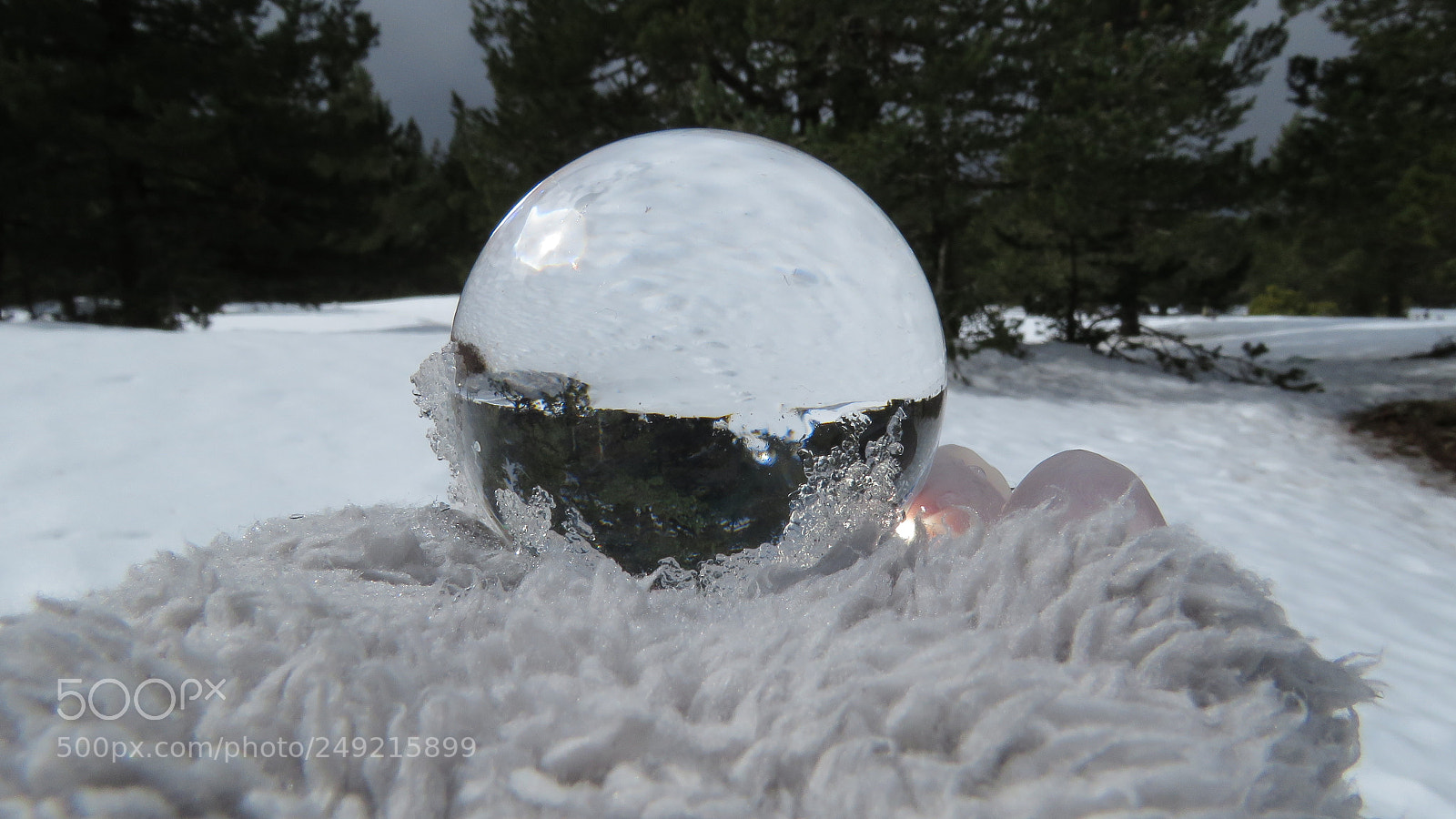 Canon PowerShot SX60 HS sample photo. Crystal ball in the photography
