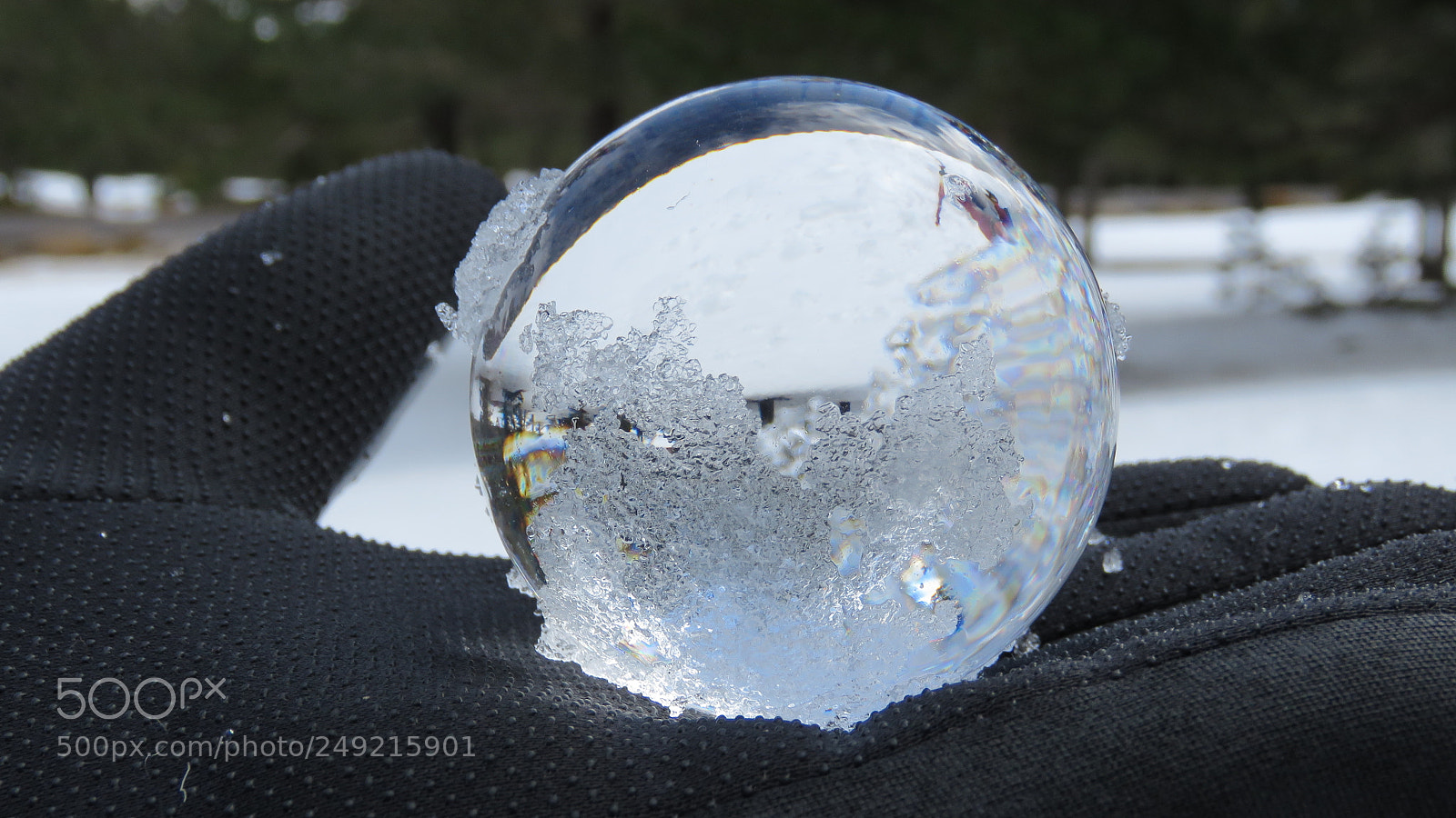 Canon PowerShot SX60 HS sample photo. Crystal ball in the photography