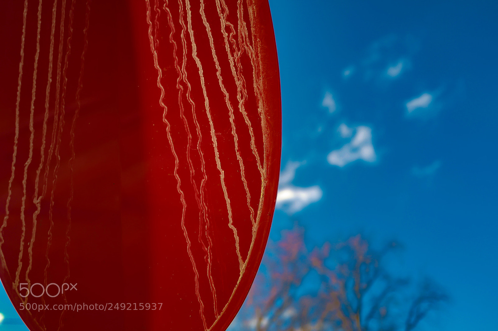 Leica Q (Typ 116) sample photo. Red & blue photography