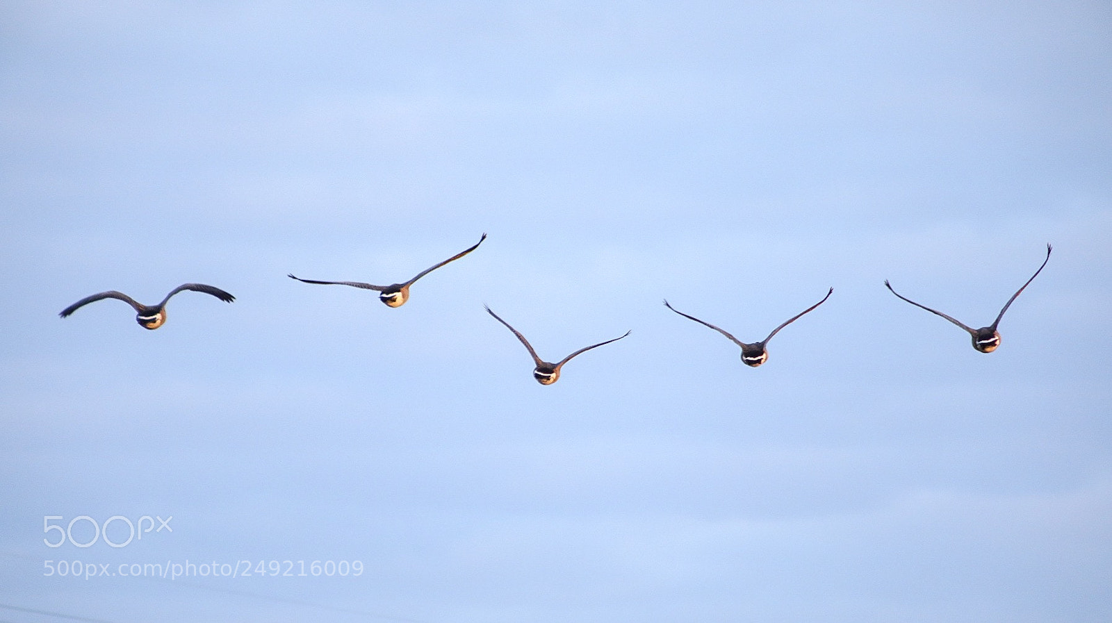 Canon EOS 5D Mark IV sample photo. Lift off photography