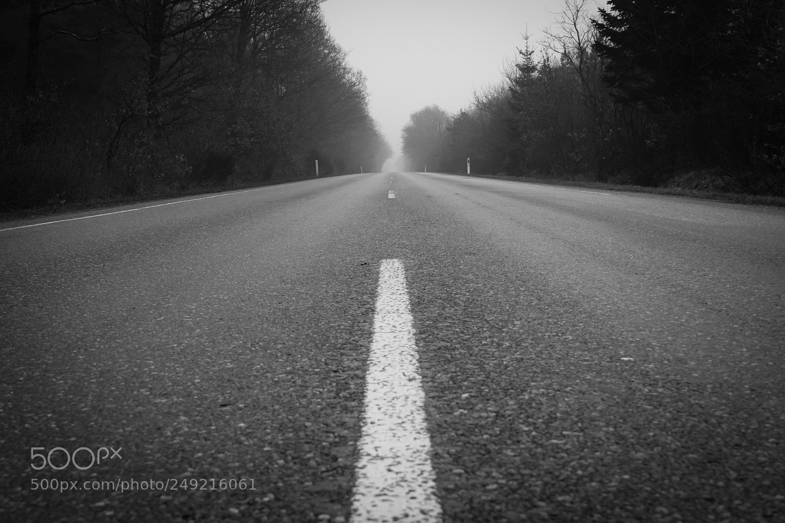 Sony a7 II sample photo. Strait country road photography