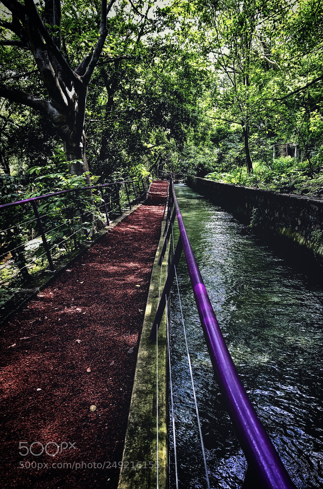 Apple iPhone 7 Plus sample photo. Chapultepec, cuernavaca. photography