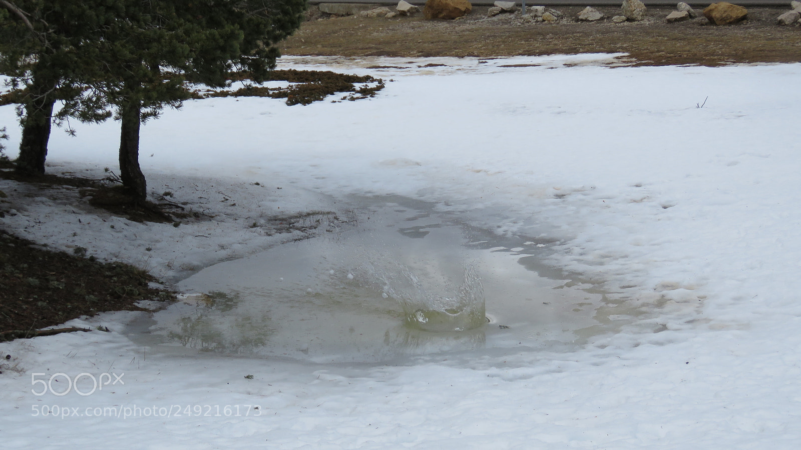 Canon PowerShot SX60 HS sample photo. Snowball in water photography