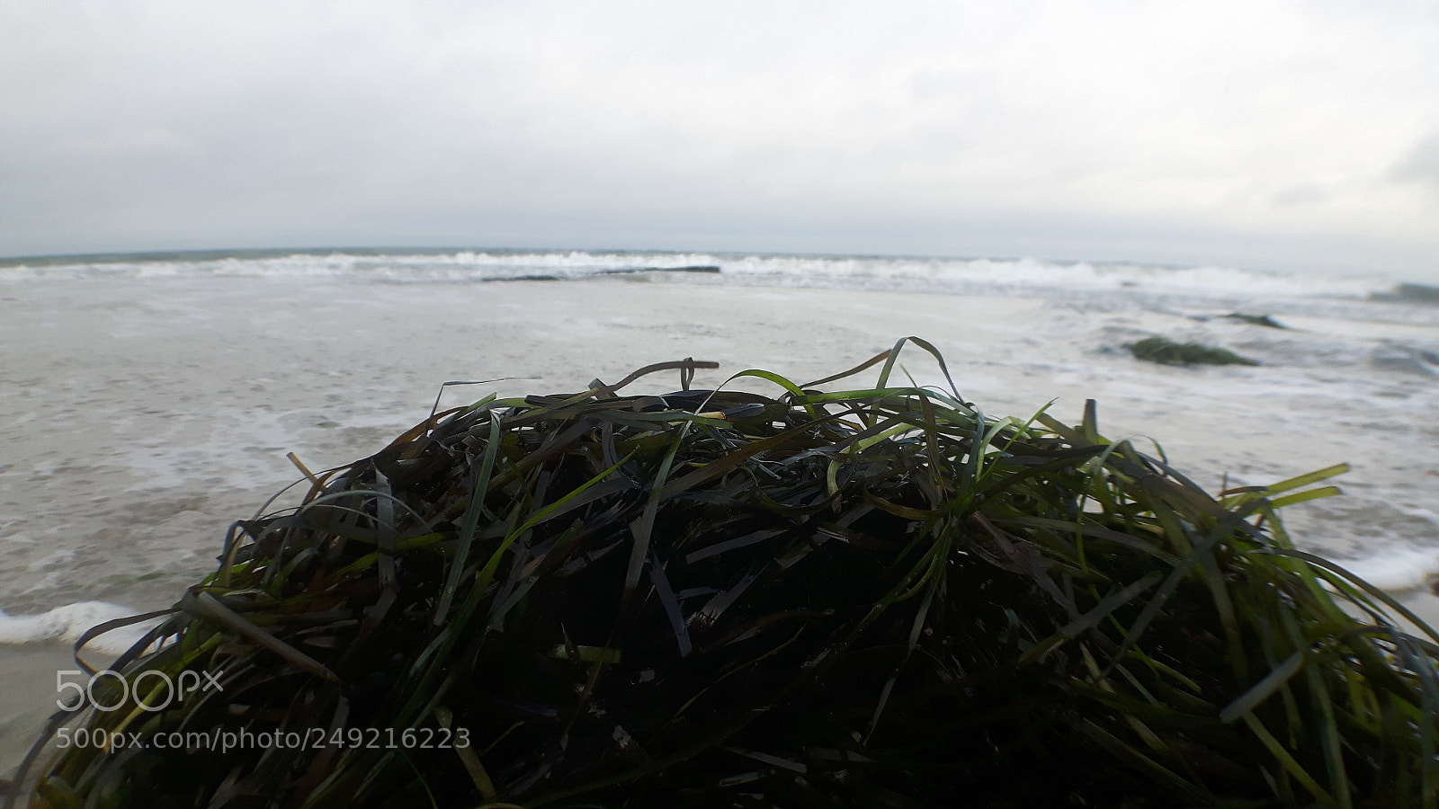 Samsung Galaxy S5 Neo sample photo. 20171224_121126.jpg photography