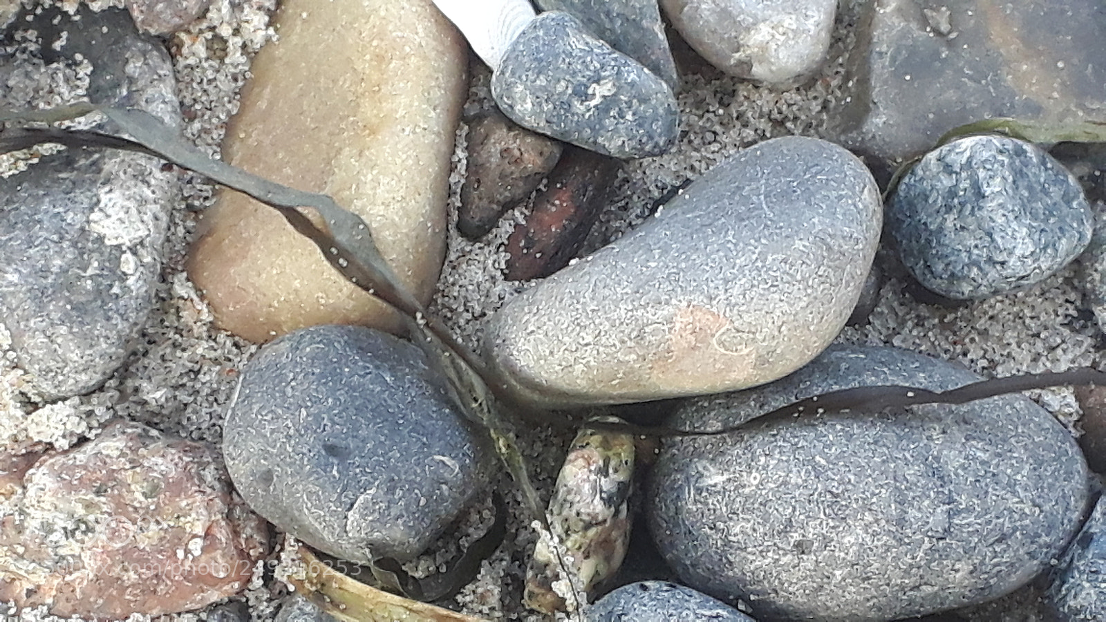 Samsung Galaxy S5 Neo sample photo. 20171224_121434.jpg photography
