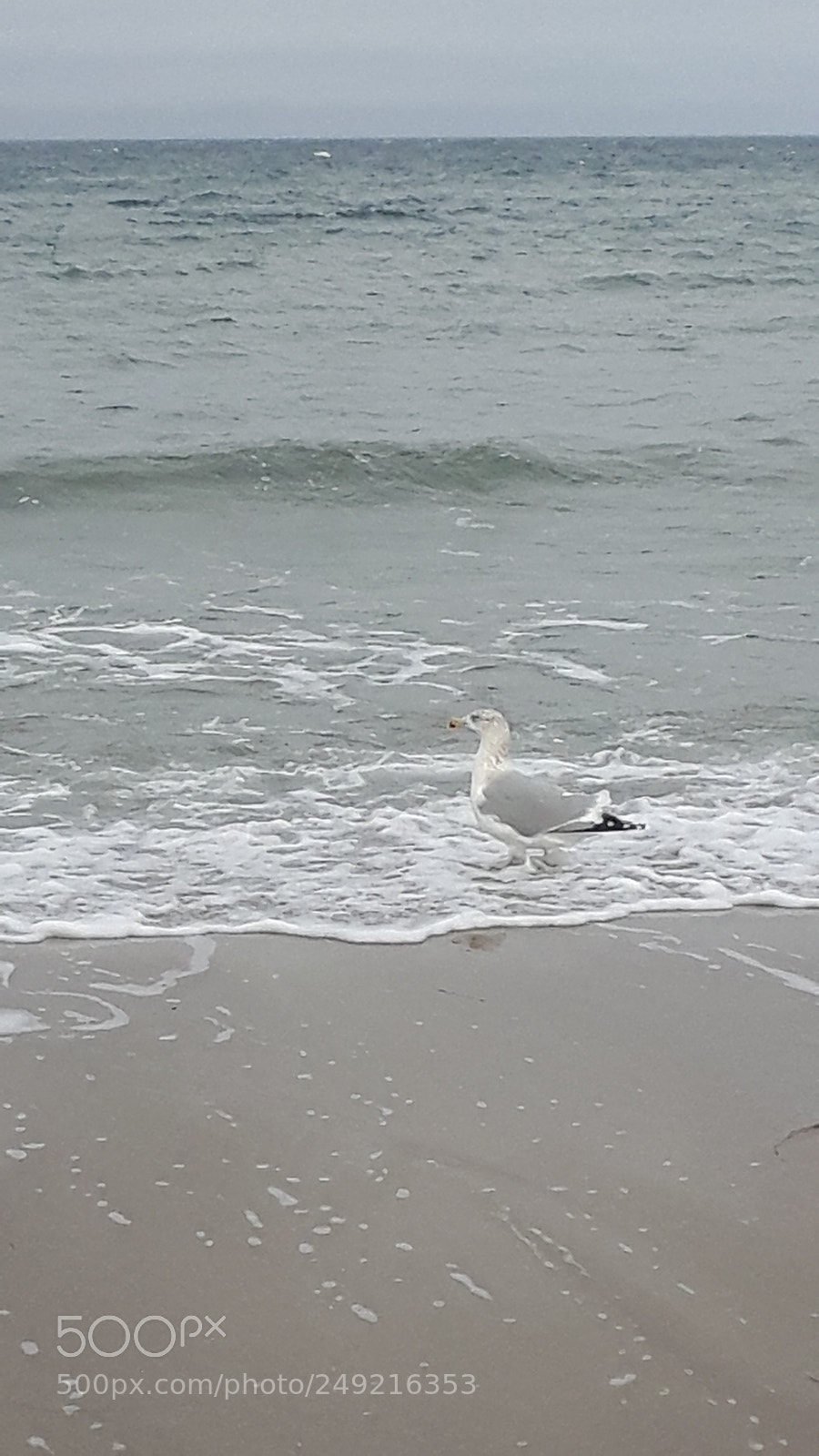 Samsung Galaxy S5 Neo sample photo. 20171224_121941.jpg photography