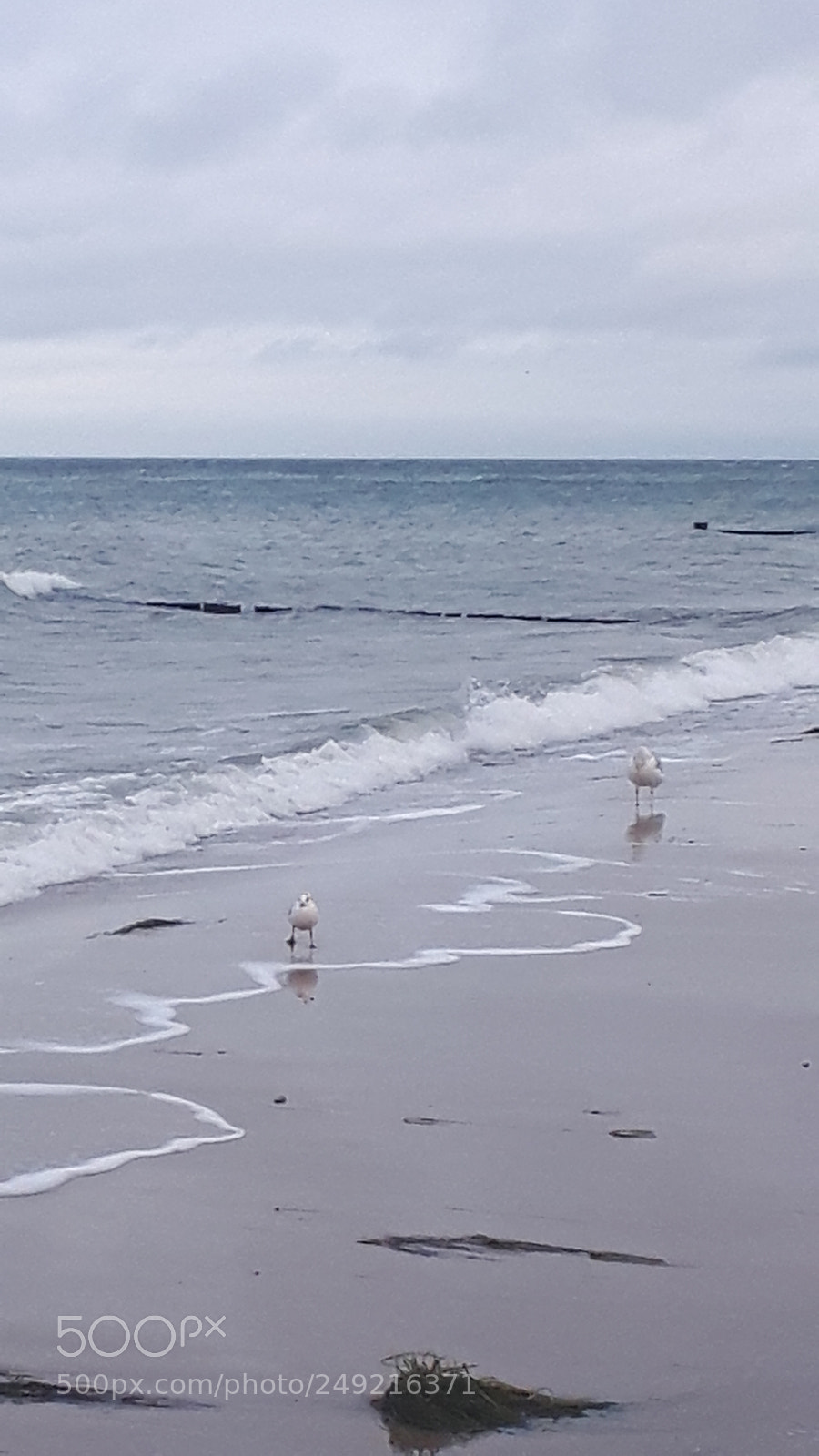 Samsung Galaxy S5 Neo sample photo. 20171224_122048.jpg photography