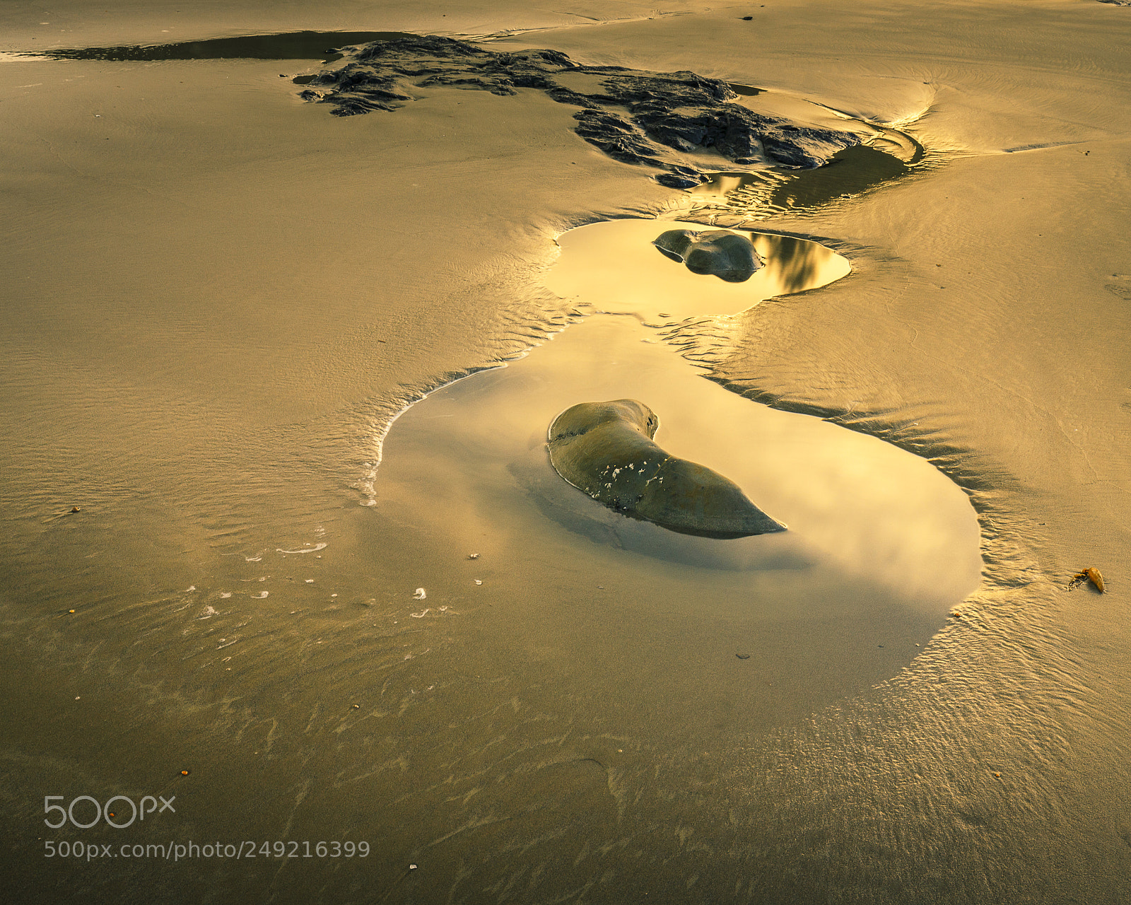 Canon EOS 6D Mark II sample photo. Golden pools photography