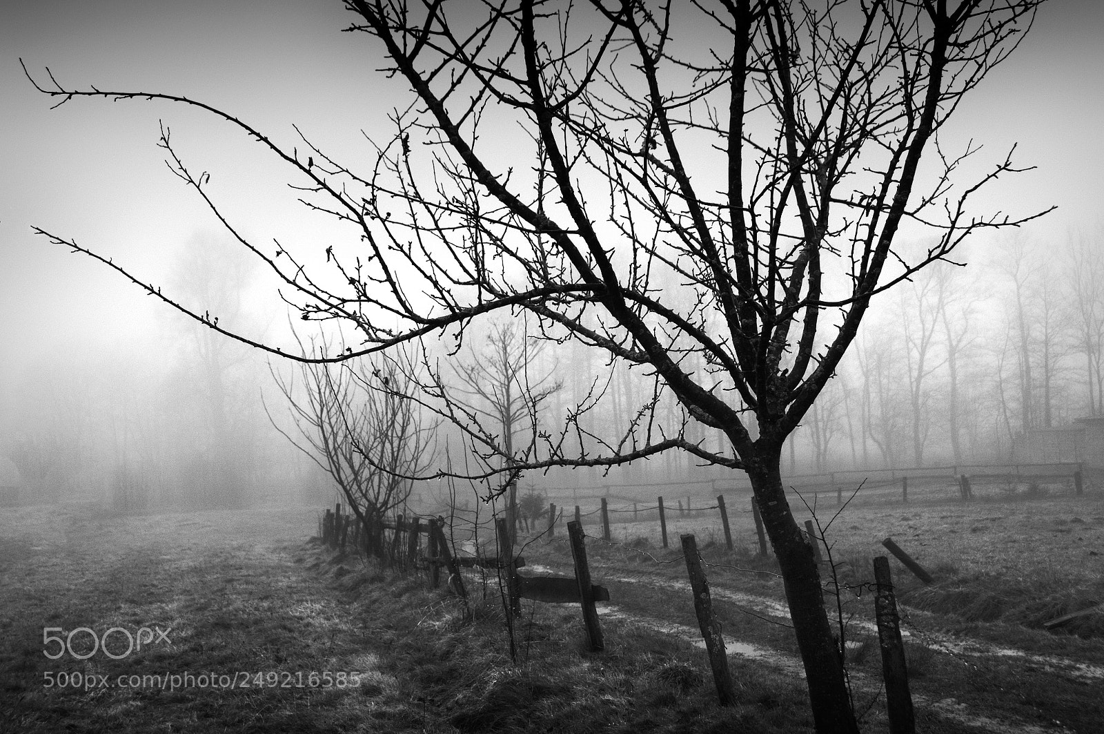Nikon D300 sample photo. Untitled photography