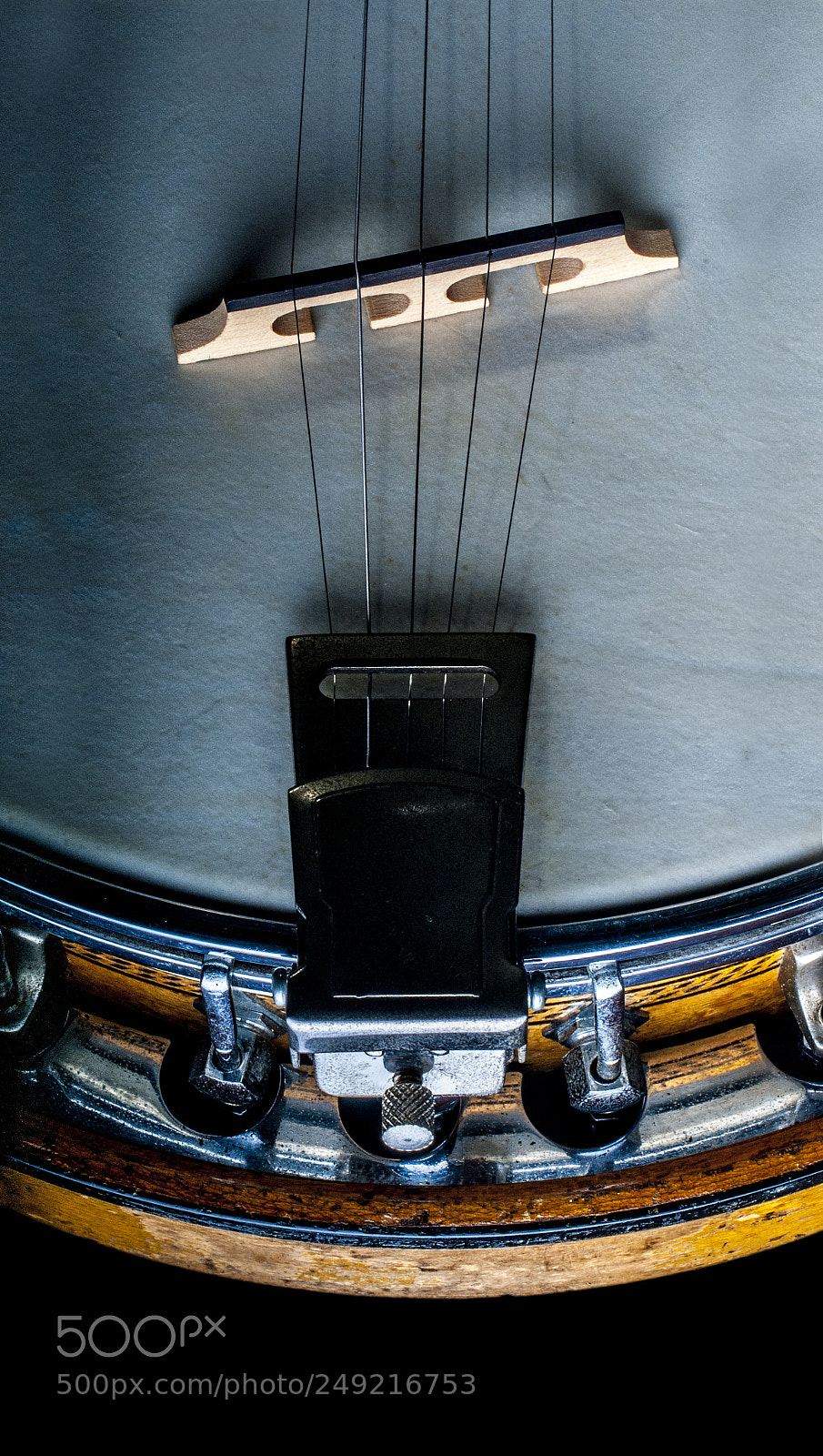 Nikon D300 sample photo. May bell photography
