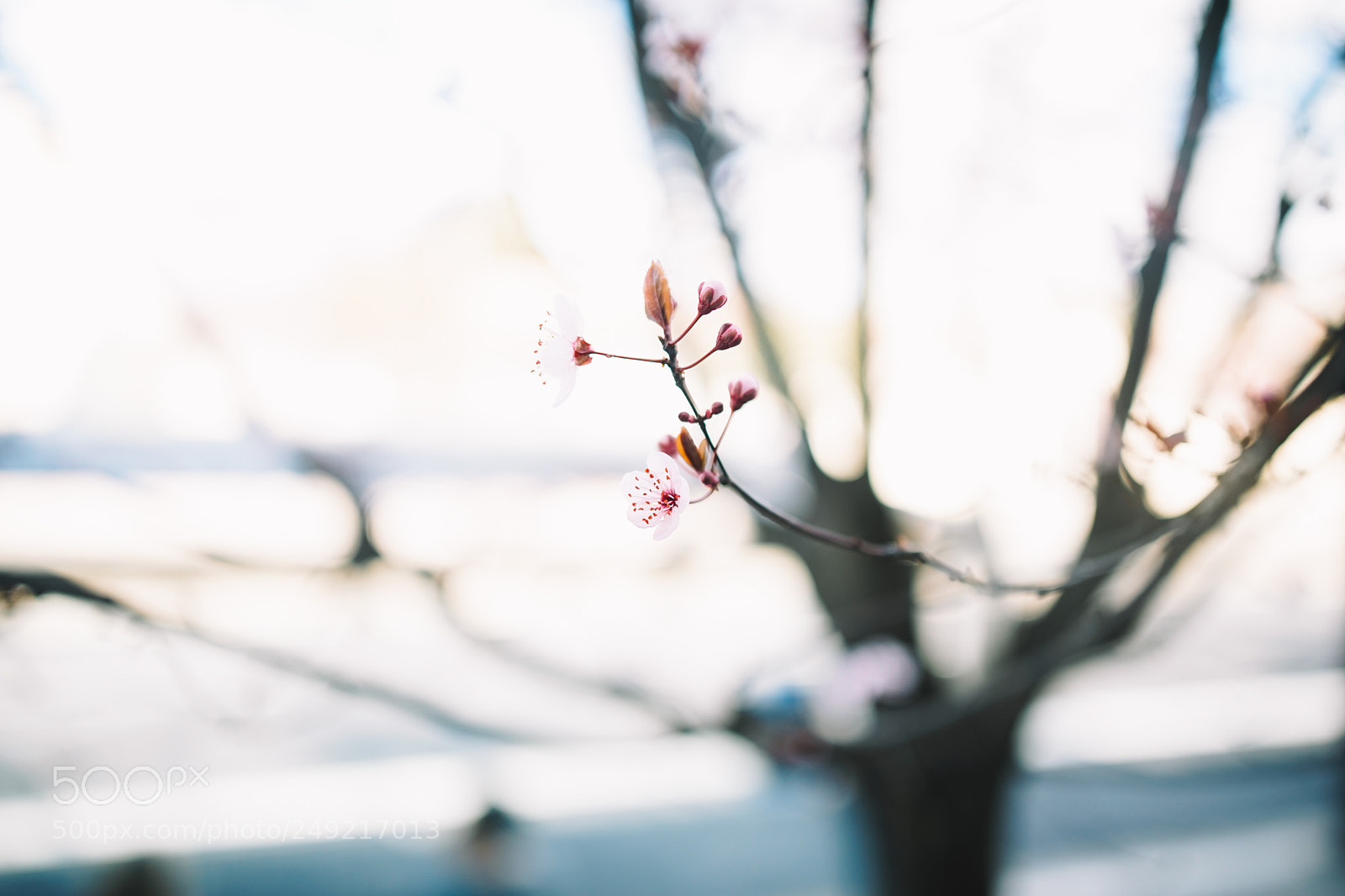 Sony a7 sample photo. Dsc photography