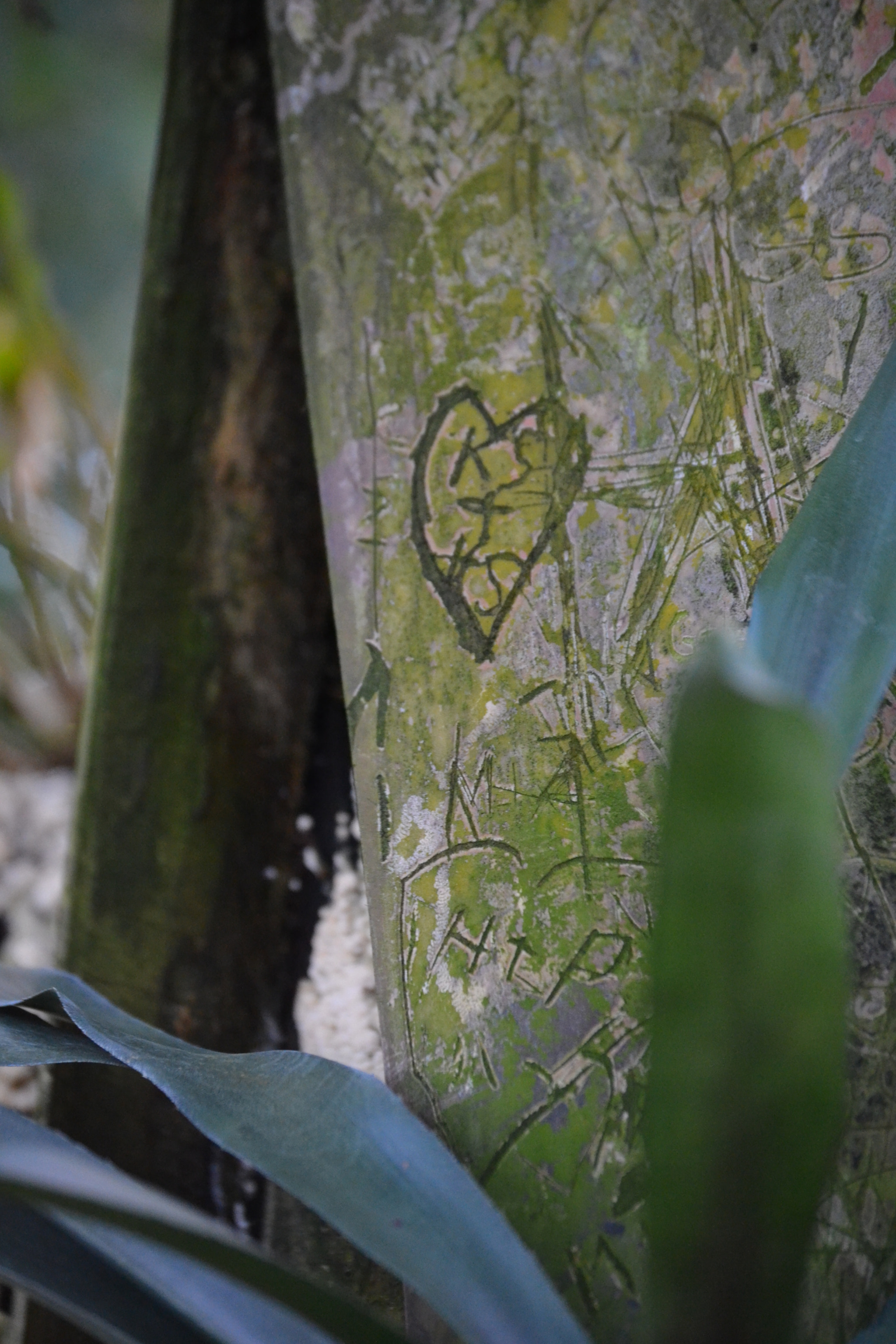 Nikon D3100 sample photo. Signs photography
