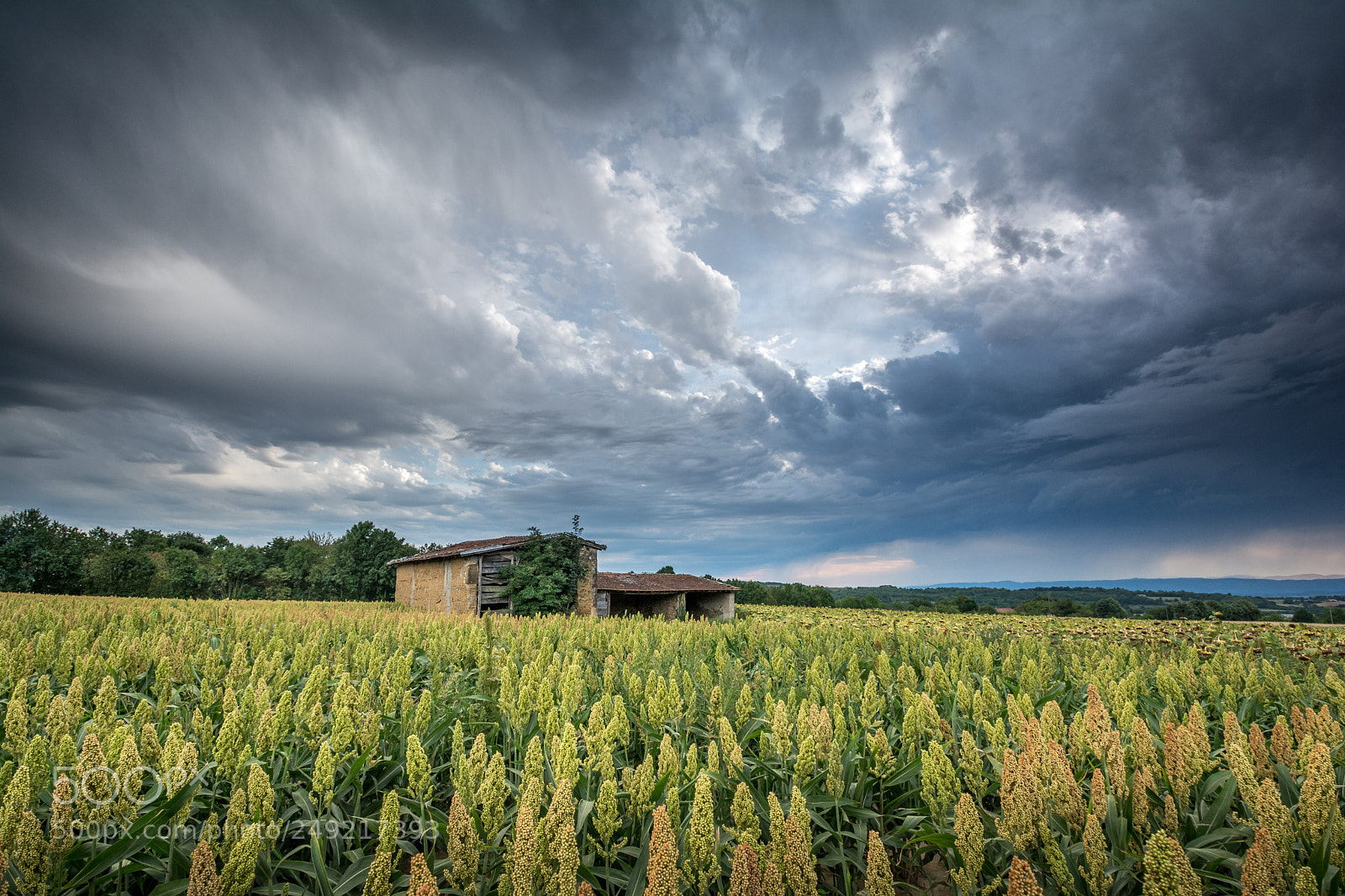 Nikon D7100 sample photo. Orage eté 2017 photography
