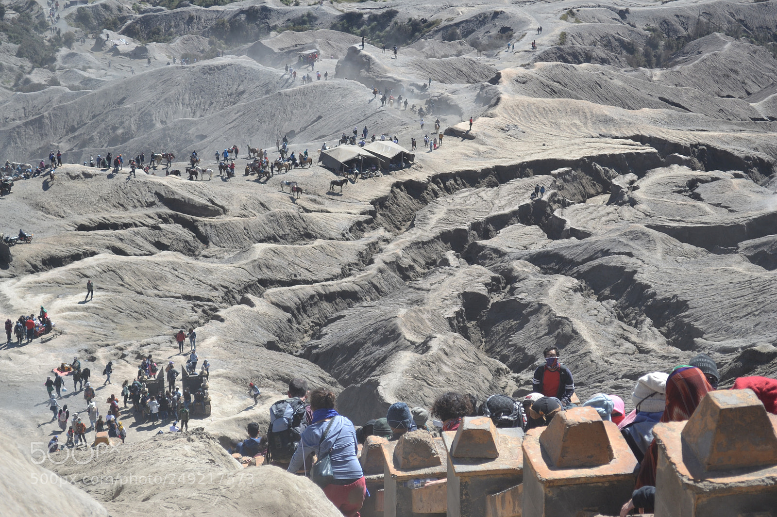 Nikon D3100 sample photo. Bromo carter tracking photography
